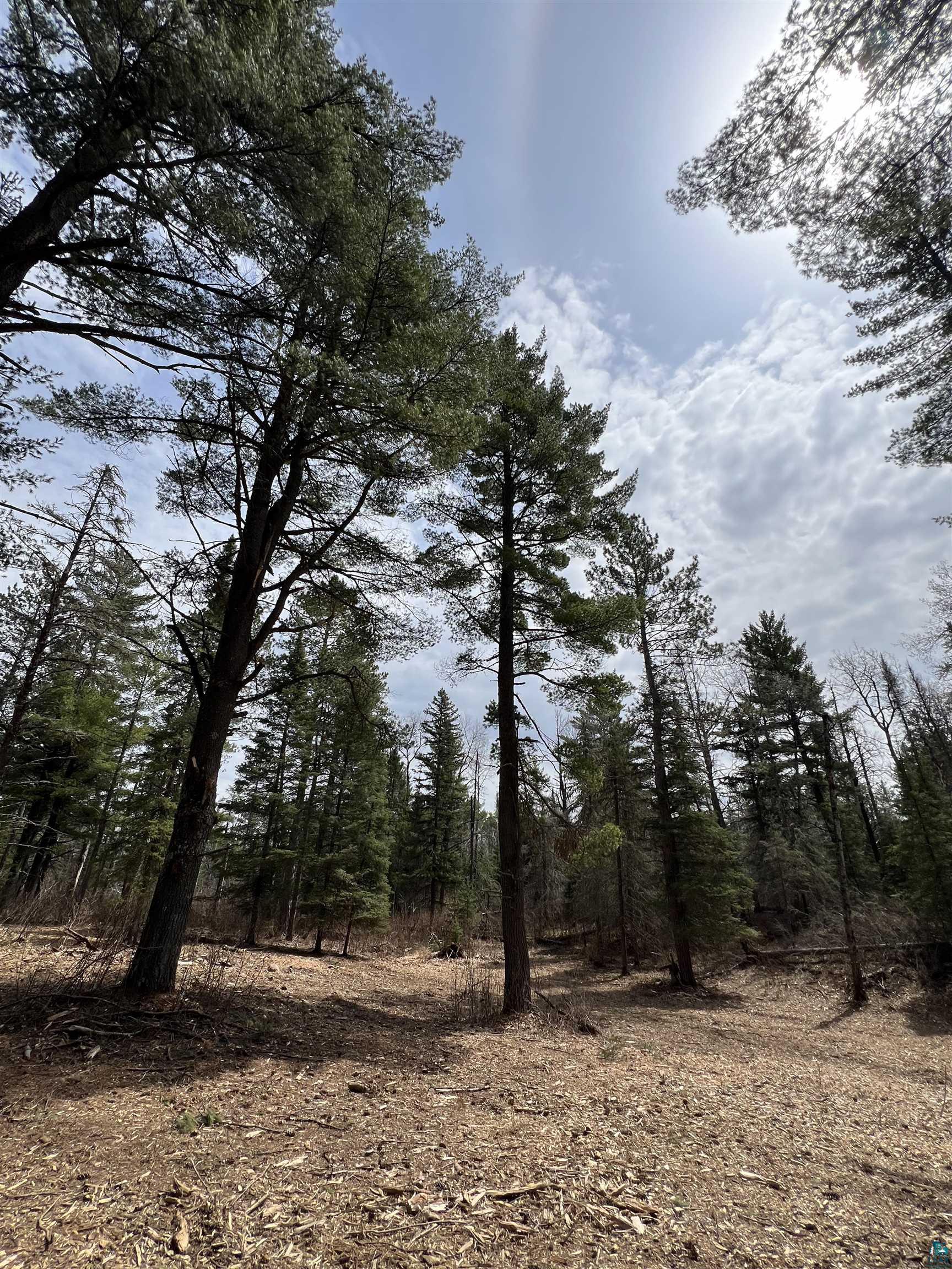 XXXX Camp House Rd, Brimson, MN 55602 Listing Photo  12
