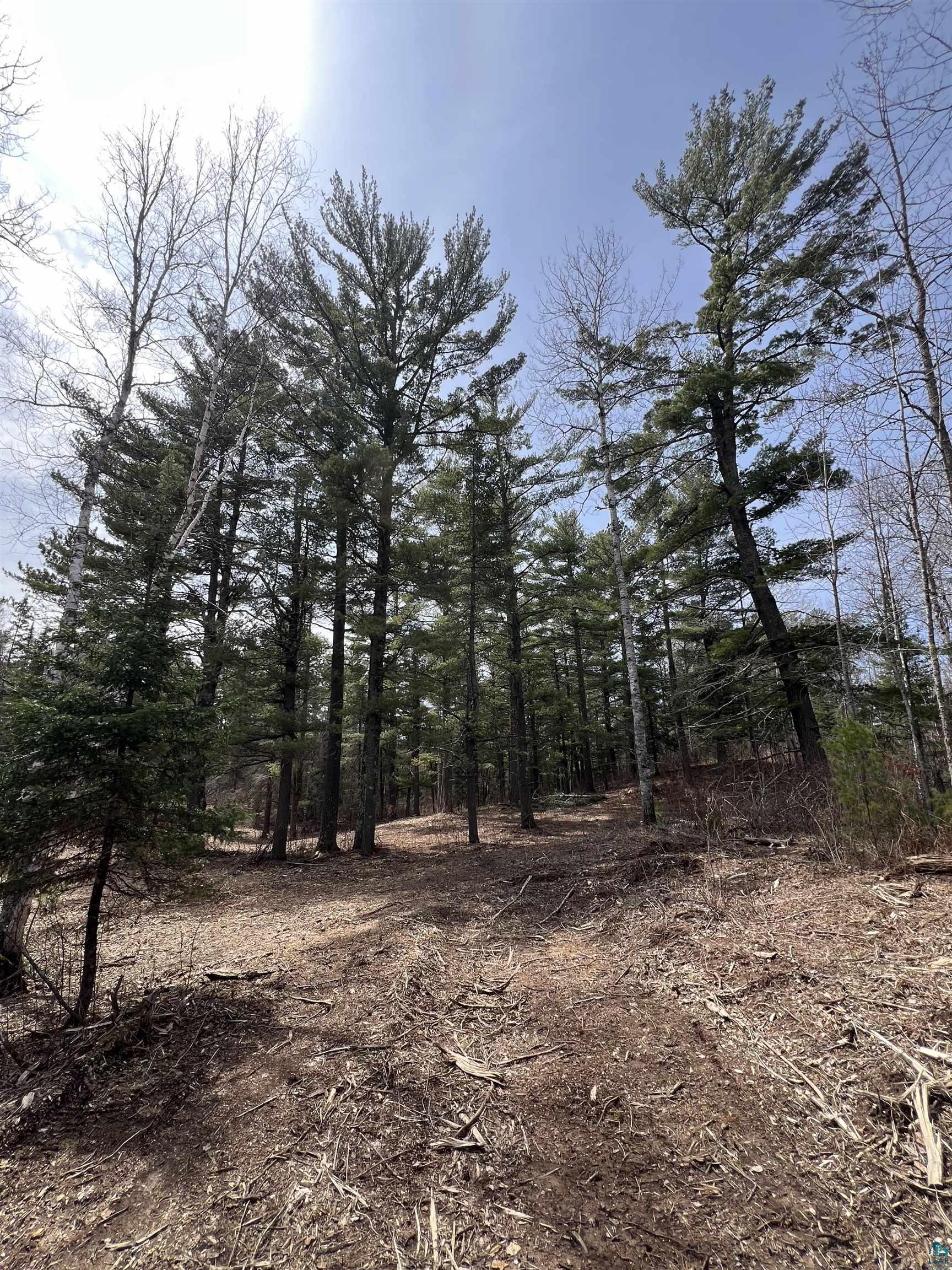 XXXX Camp House Rd, Brimson, MN 55602 Listing Photo  13