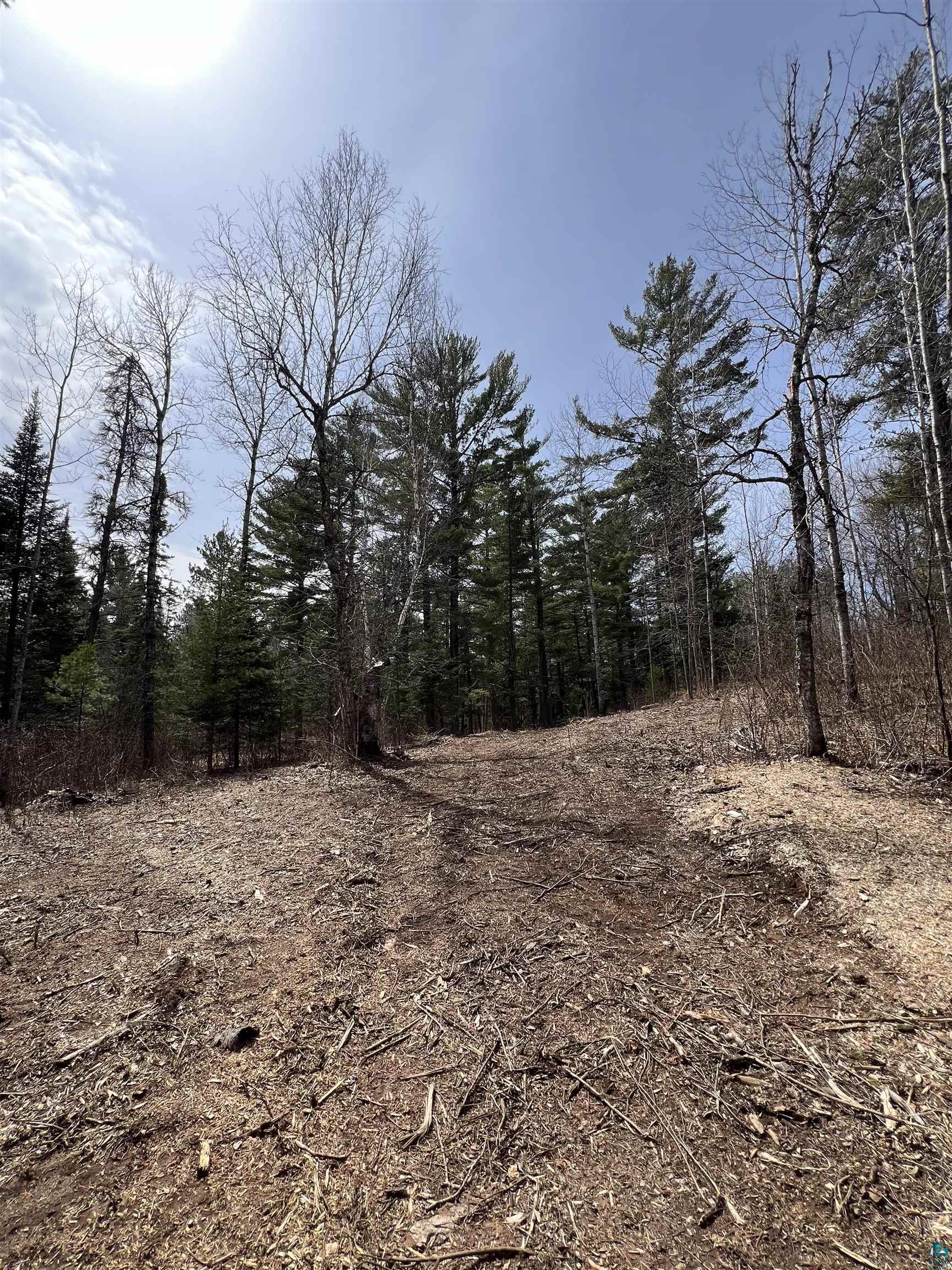 XXXX Camp House Rd, Brimson, MN 55602 Listing Photo  14