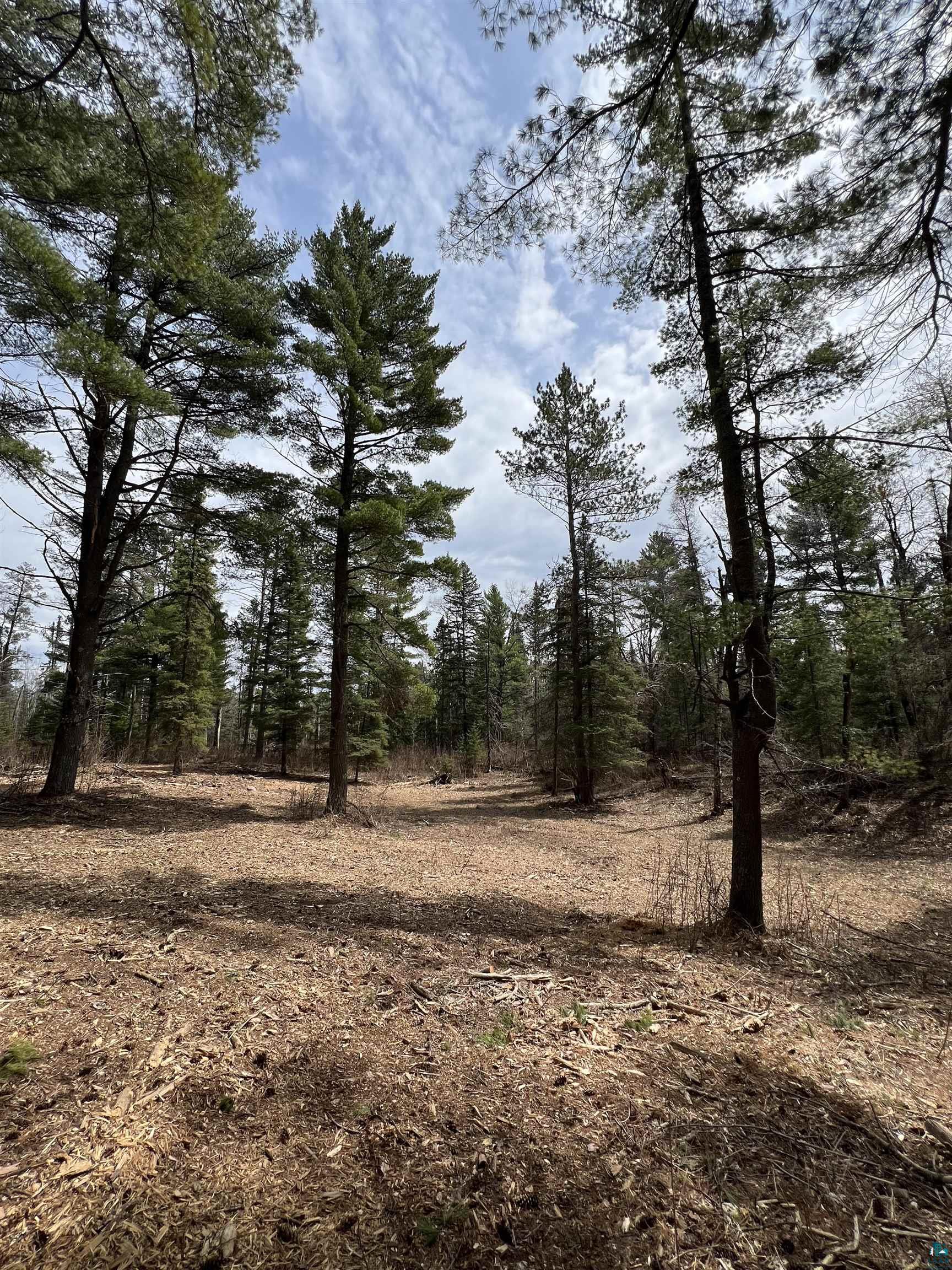 XXXX Camp House Rd, Brimson, MN 55602 Listing Photo  6