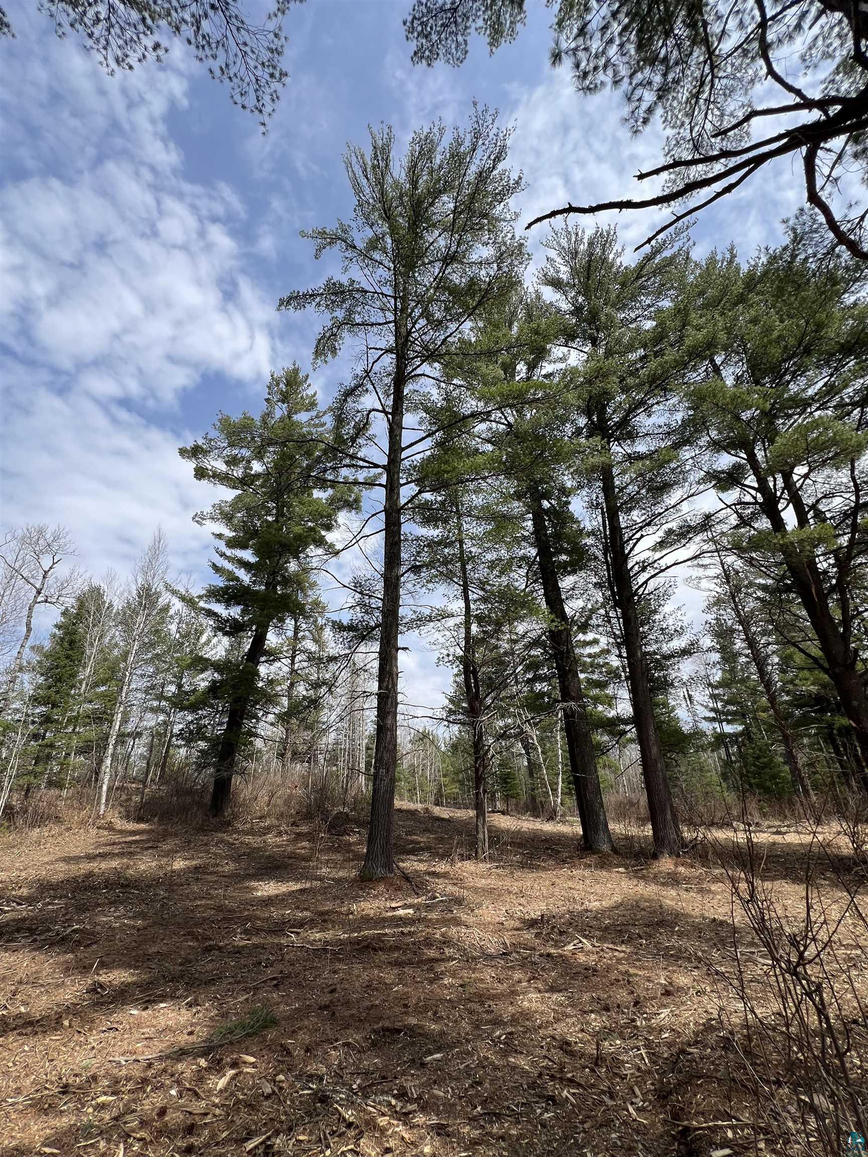 XXXX Camp House Rd, Brimson, MN 55602 Listing Photo  10