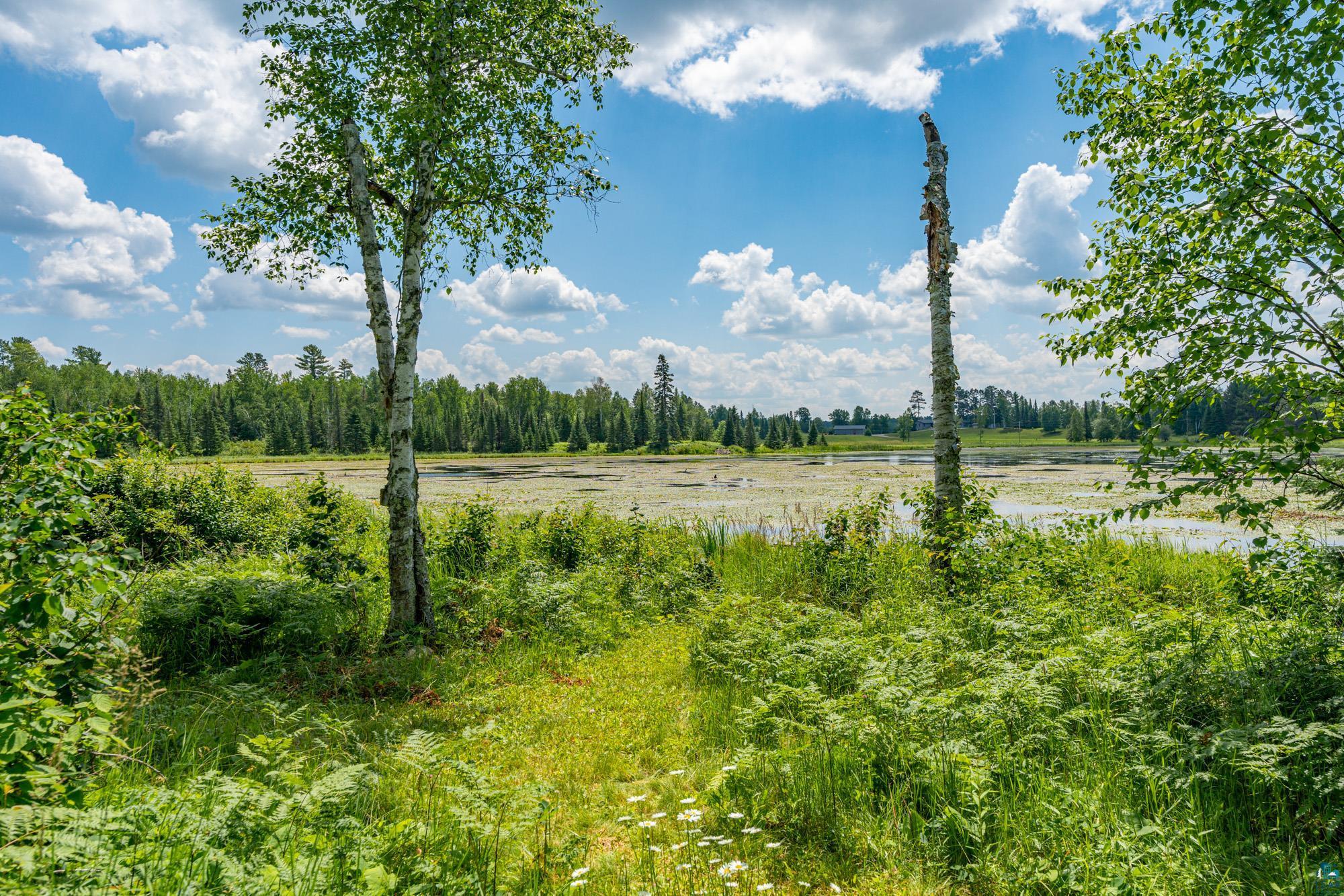 296 Shady Ln, Ely, MN 55731 Listing Photo  21