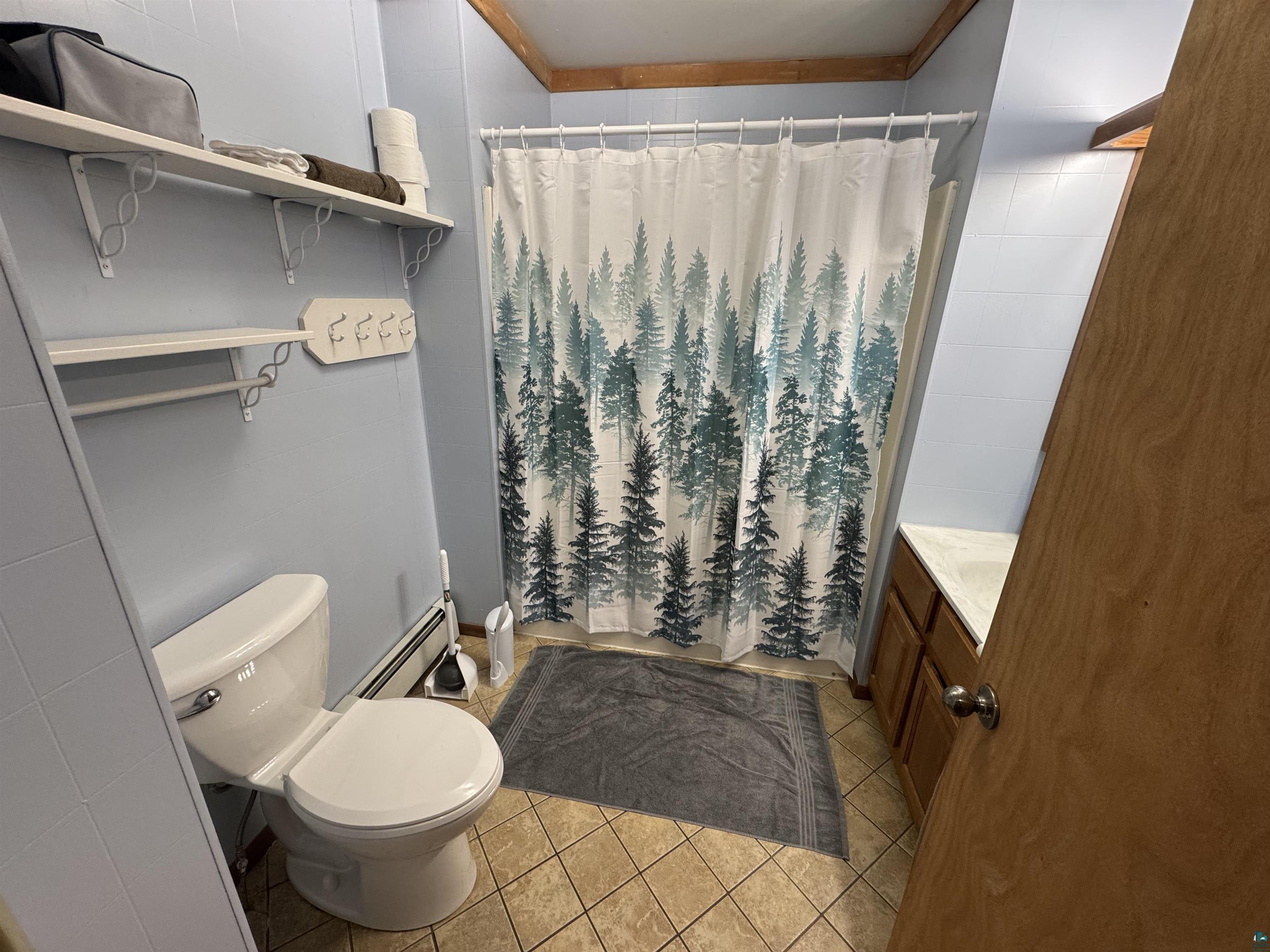 4897 S Swanson Dr, Maple, WI 54854 Listing Photo  6