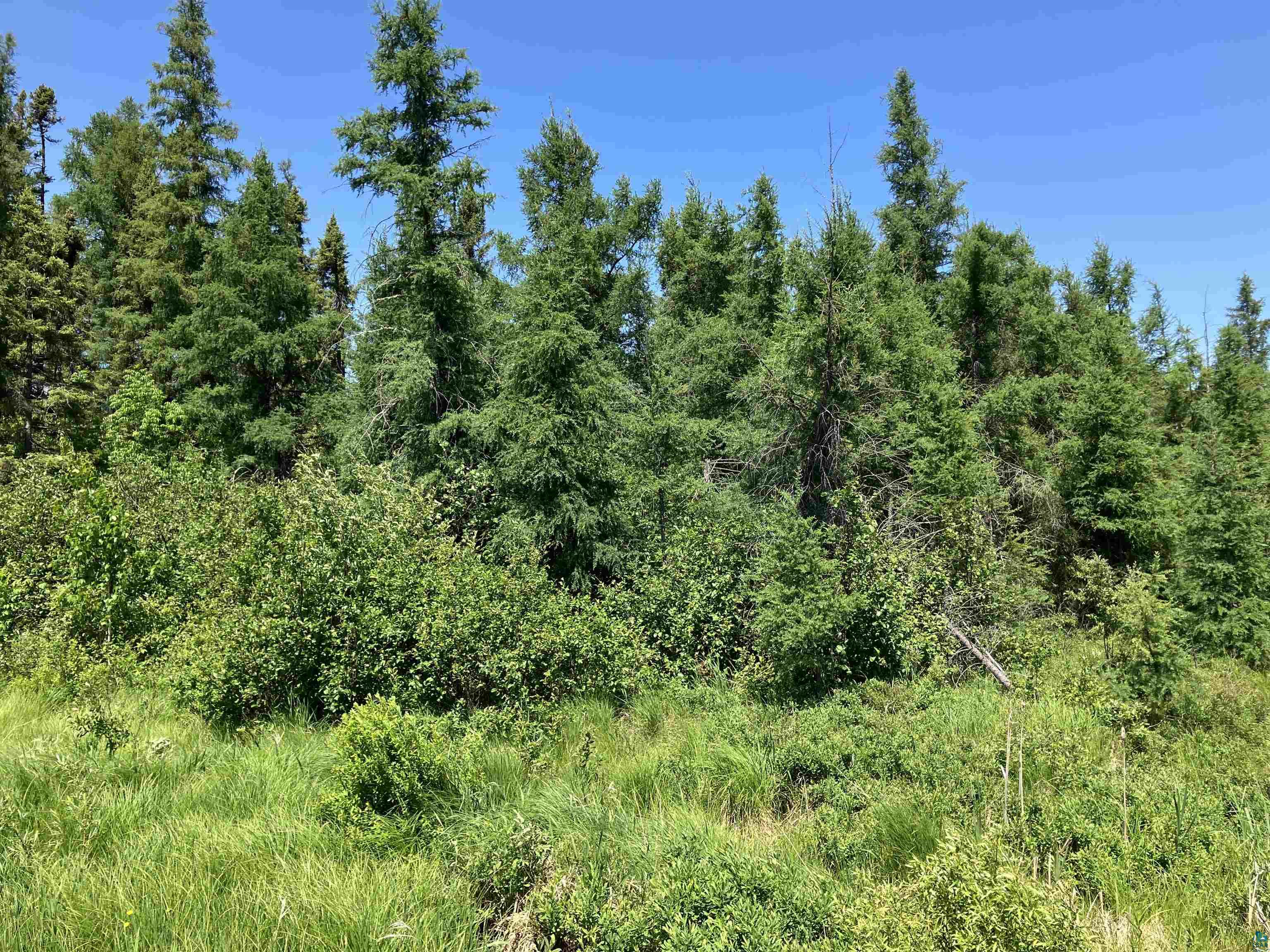 TBD Little Marais Rd, Finland, MN 55603 Listing Photo  22