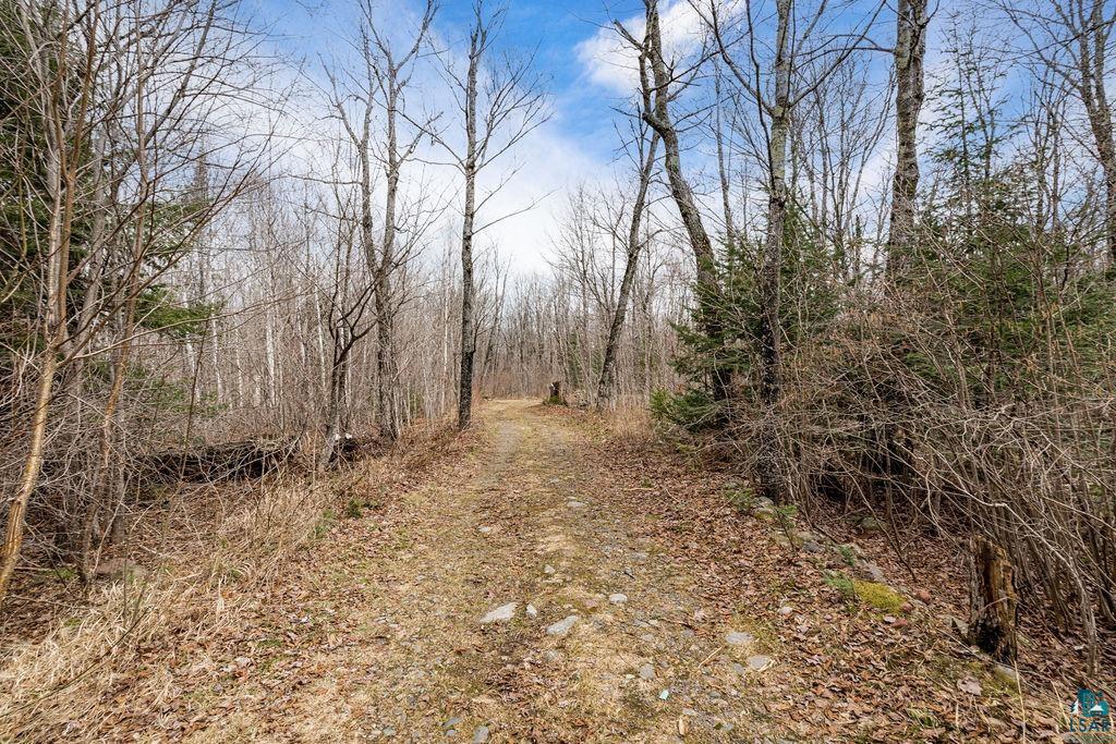 4598 McAlpine Spur Rd, Two Harbors, MN 55616 Listing Photo  35
