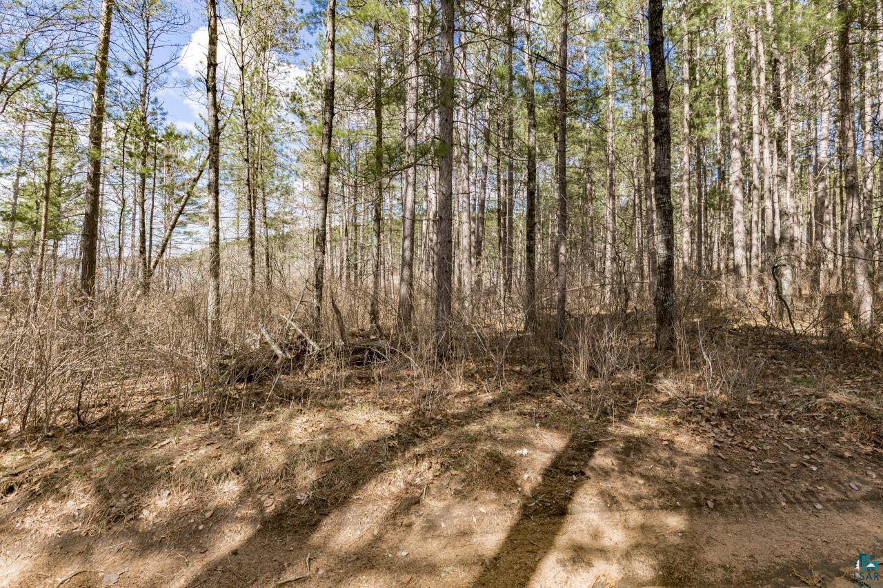 143xx E Catherine Lake Rd, Solon Springs, WI 54873 Listing Photo  21