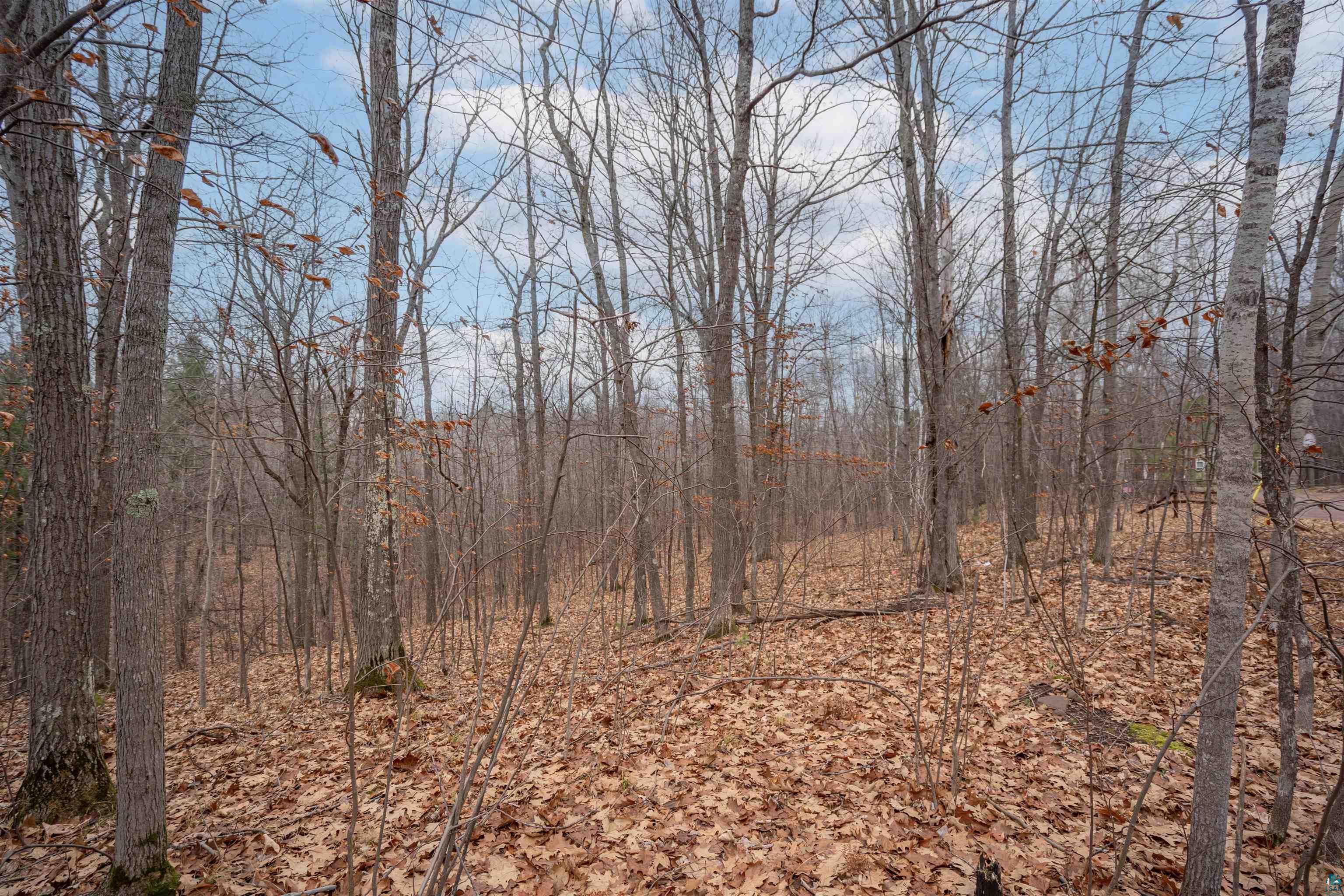 7173 S Dougs Cr, Lake Nebagamon, WI 54849 Listing Photo  6