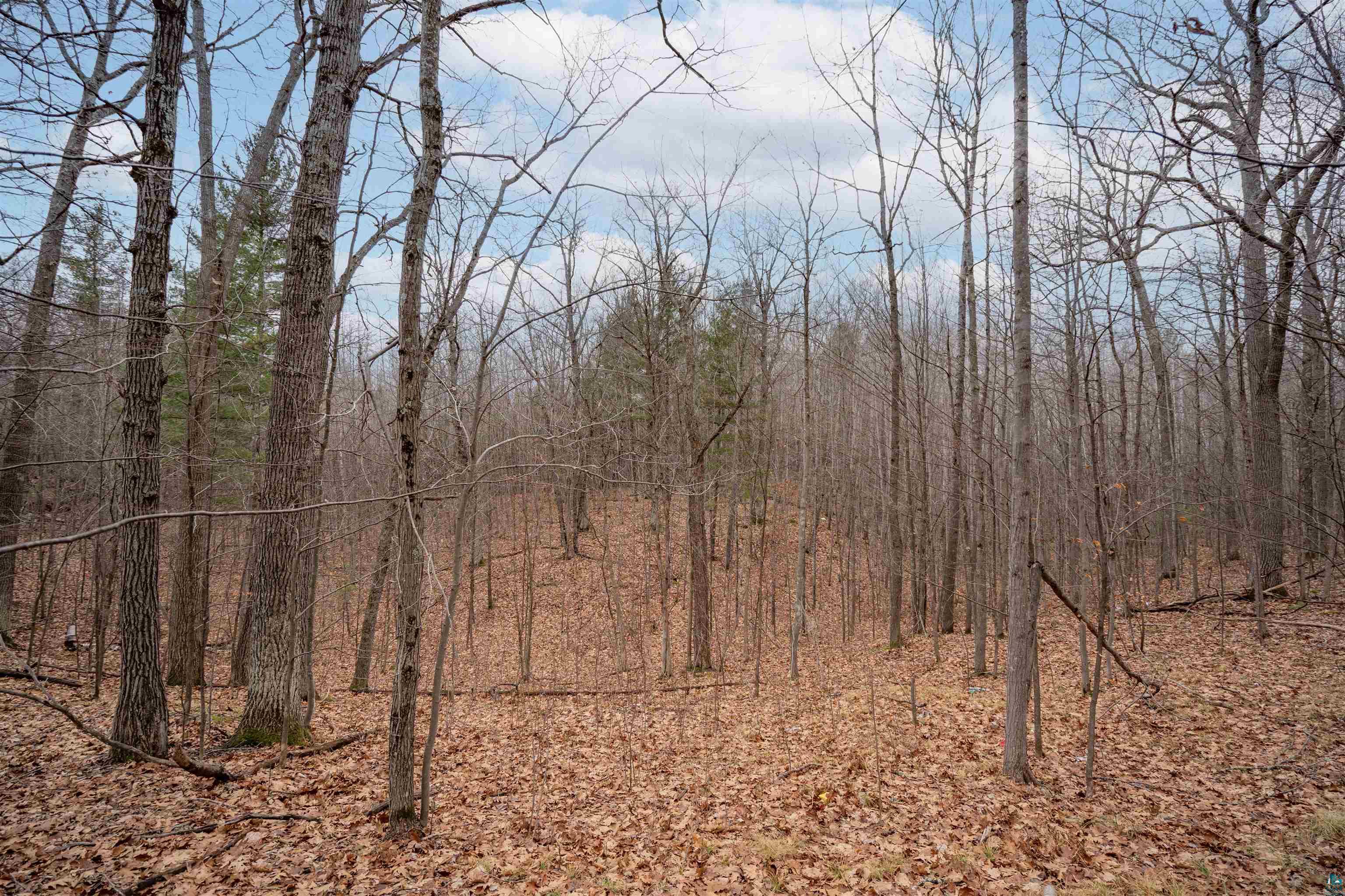 7173 S Dougs Cr, Lake Nebagamon, WI 54849 Listing Photo  7