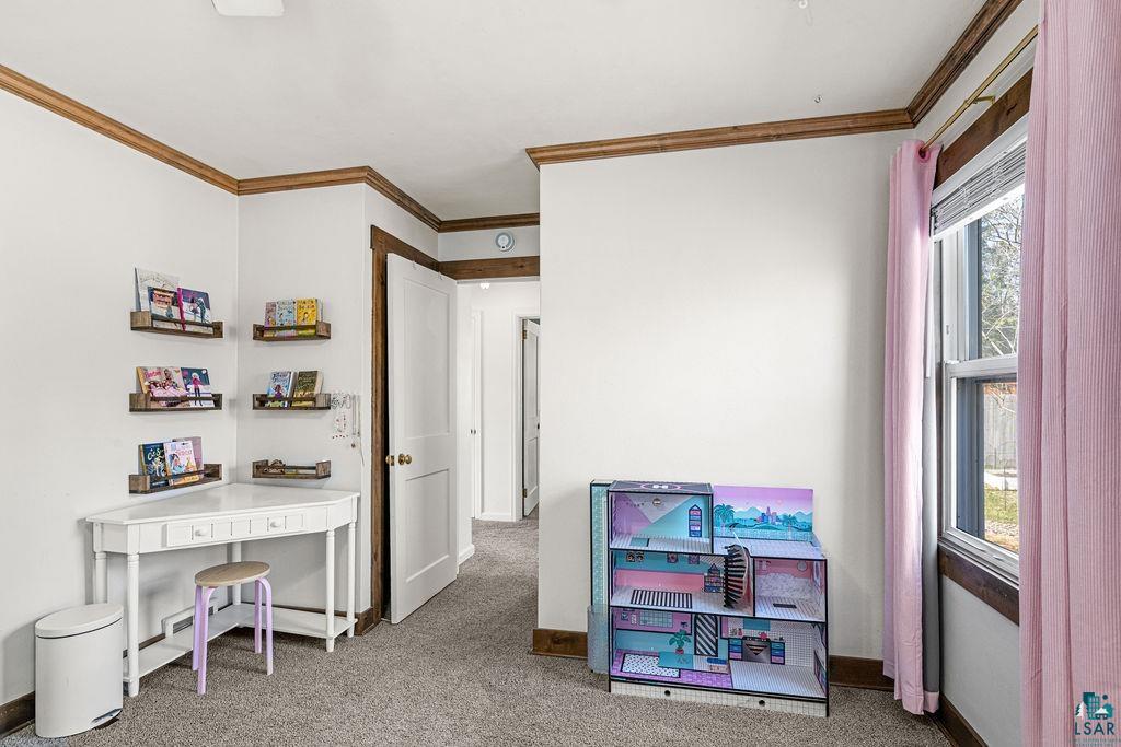 4419 Tioga St, Duluth, MN 55804 Listing Photo  19
