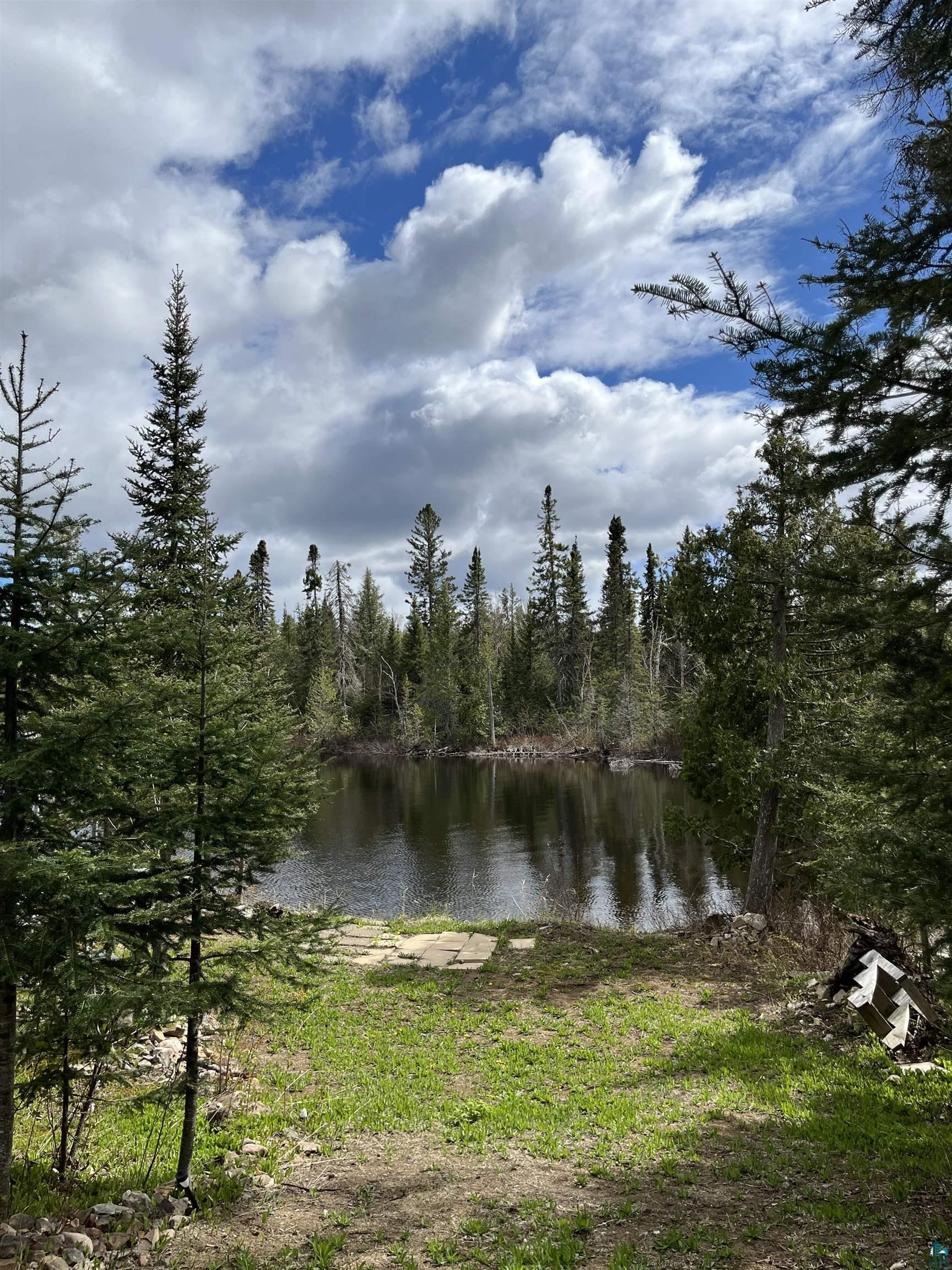 100 Wilderness Tr, Hovland, MN 55606 Listing Photo  3