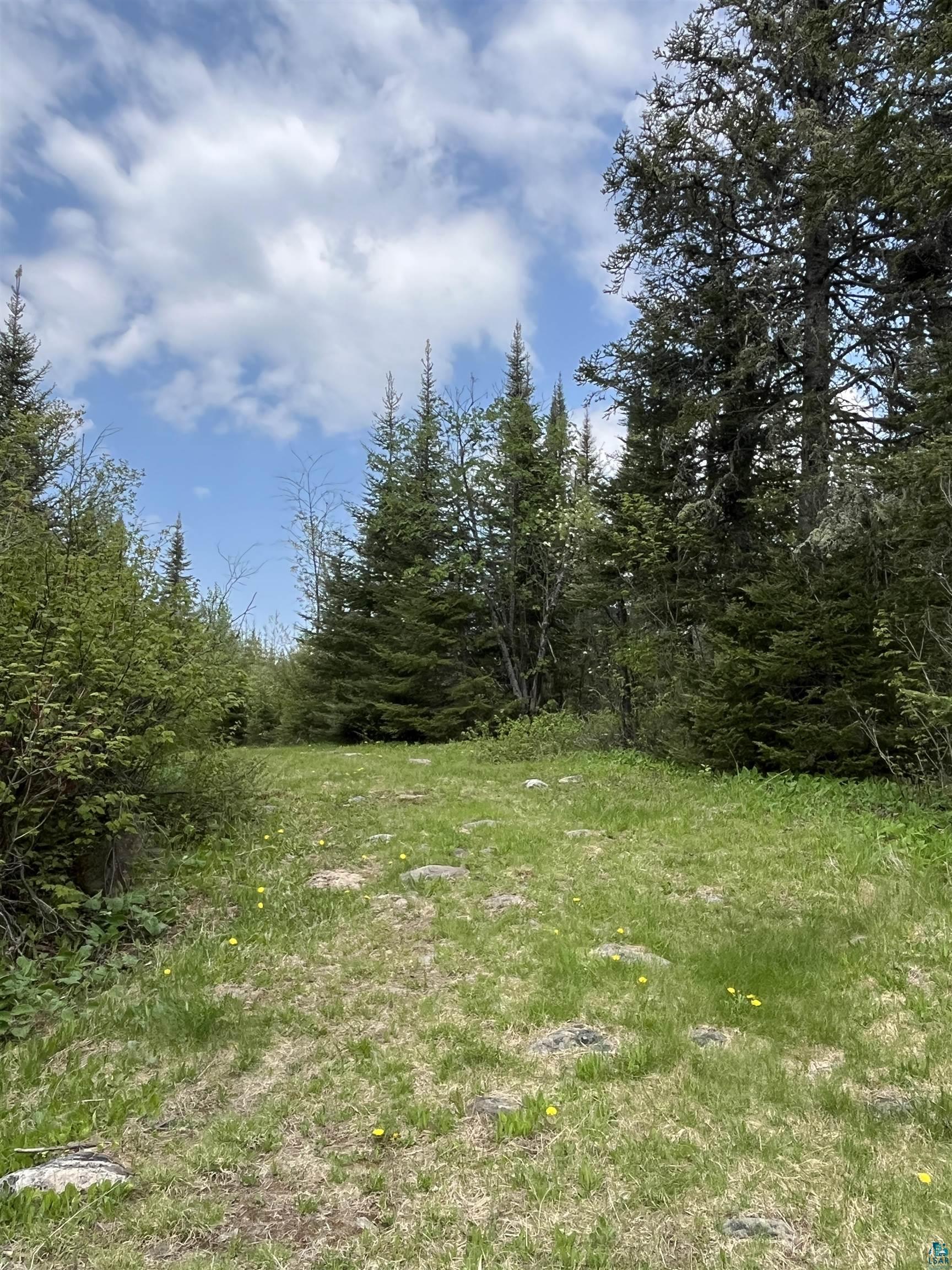 100 Wilderness Tr, Hovland, MN 55606 Listing Photo  4