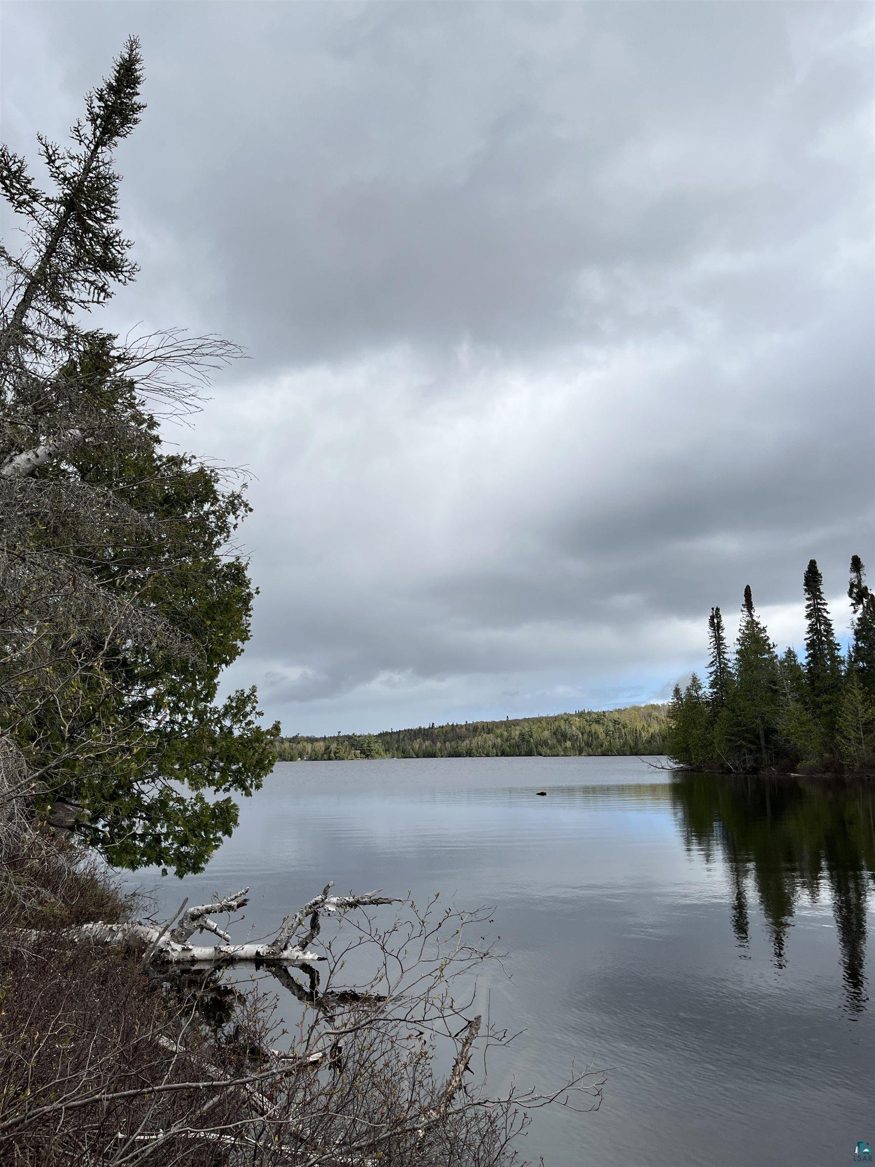100 Wilderness Tr, Hovland, MN 55606 Listing Photo  8