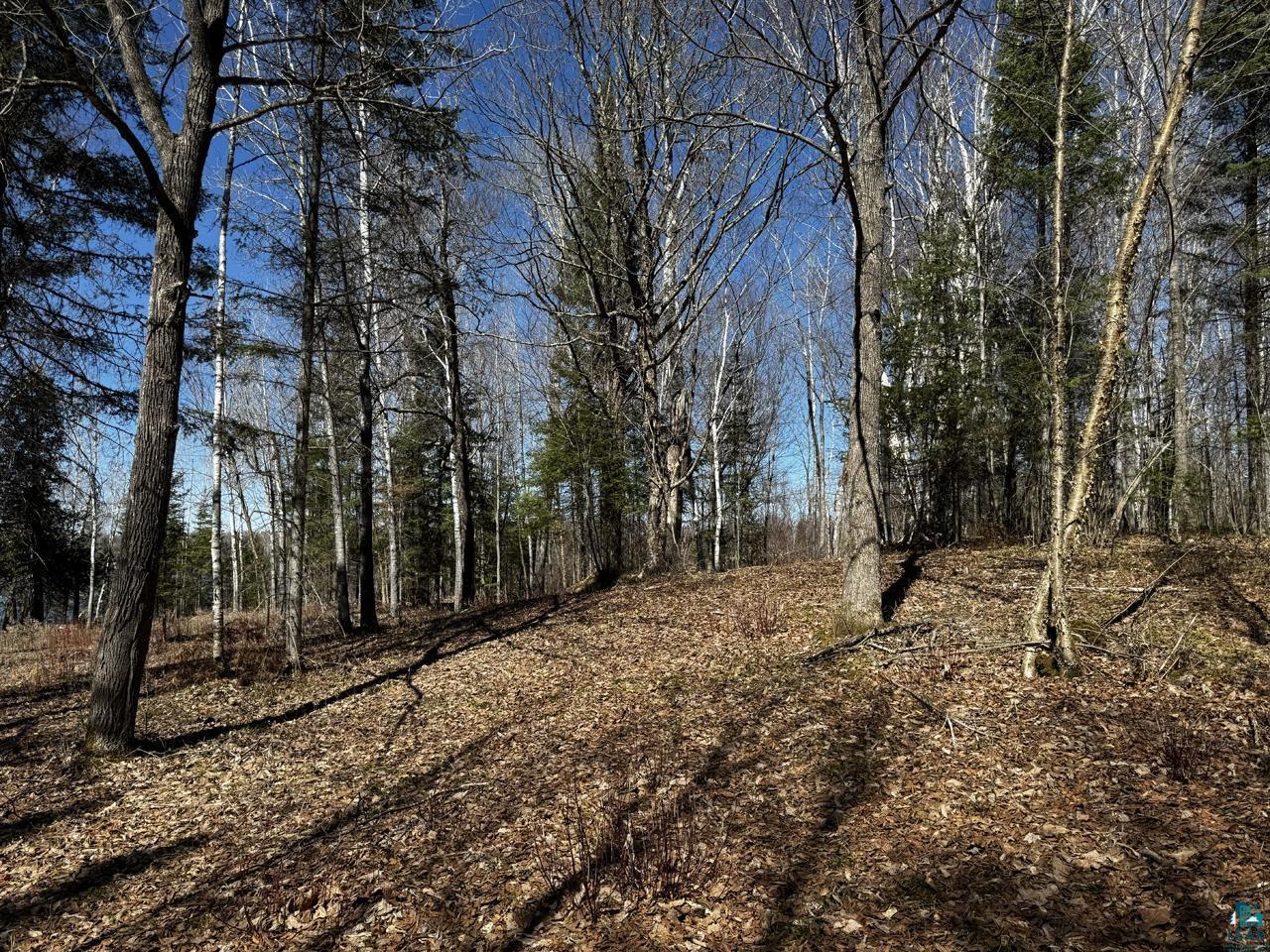 417 Barrell Road, Ely, MN 55731 Listing Photo  12