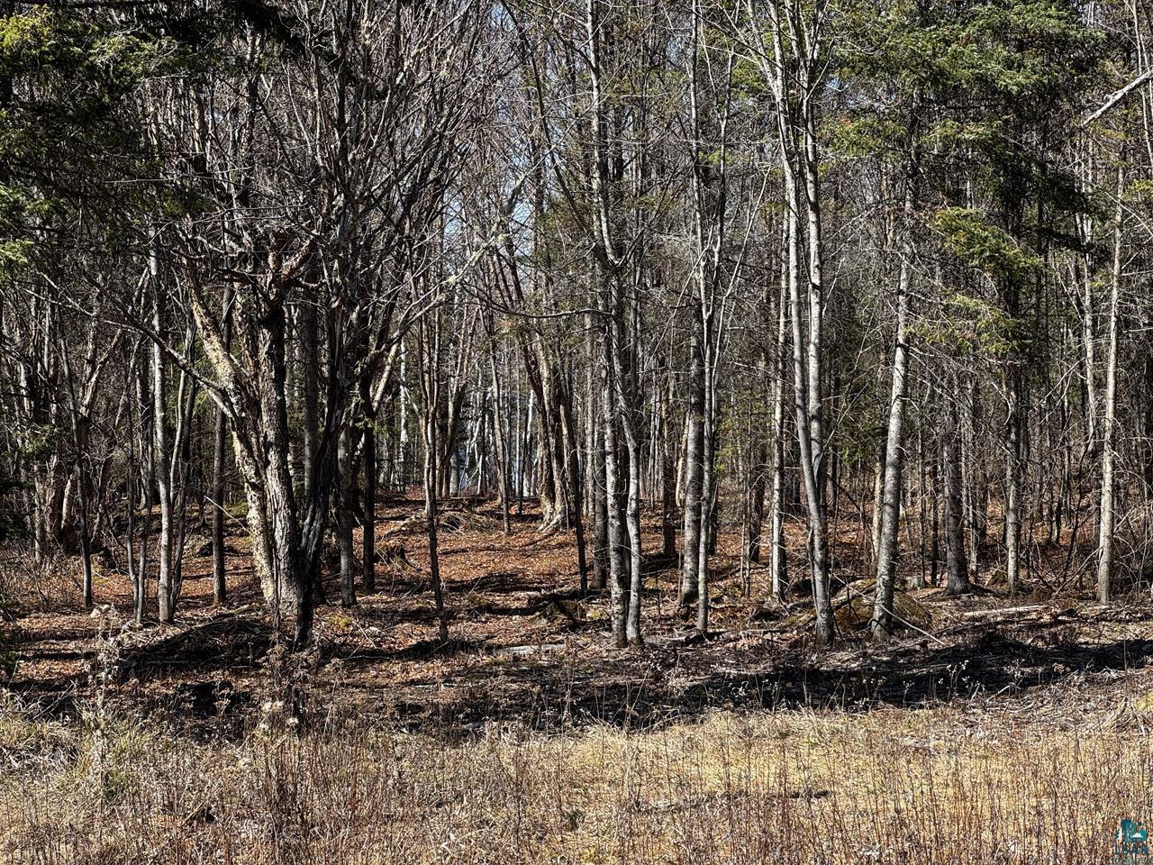 417 Barrell Road, Ely, MN 55731 Listing Photo  15