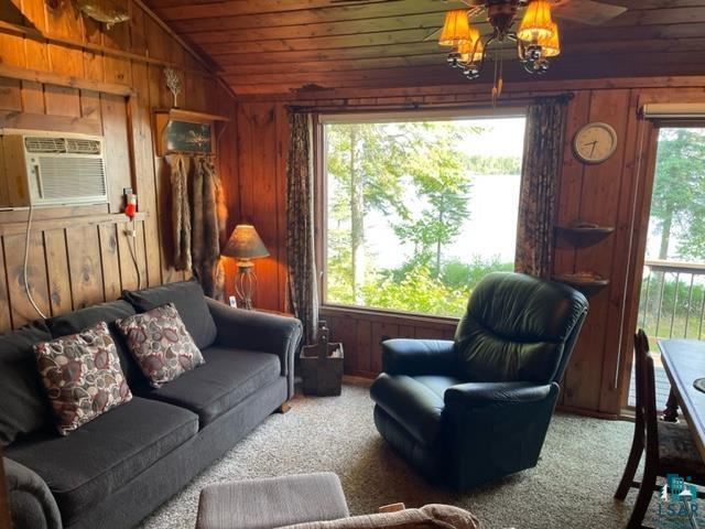 3451 Jackpine Ln, Ely, MN 55731 Listing Photo  19