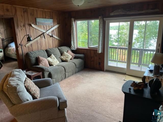 3459 Jackpine Ln, Ely, MN 55731 Listing Photo  15