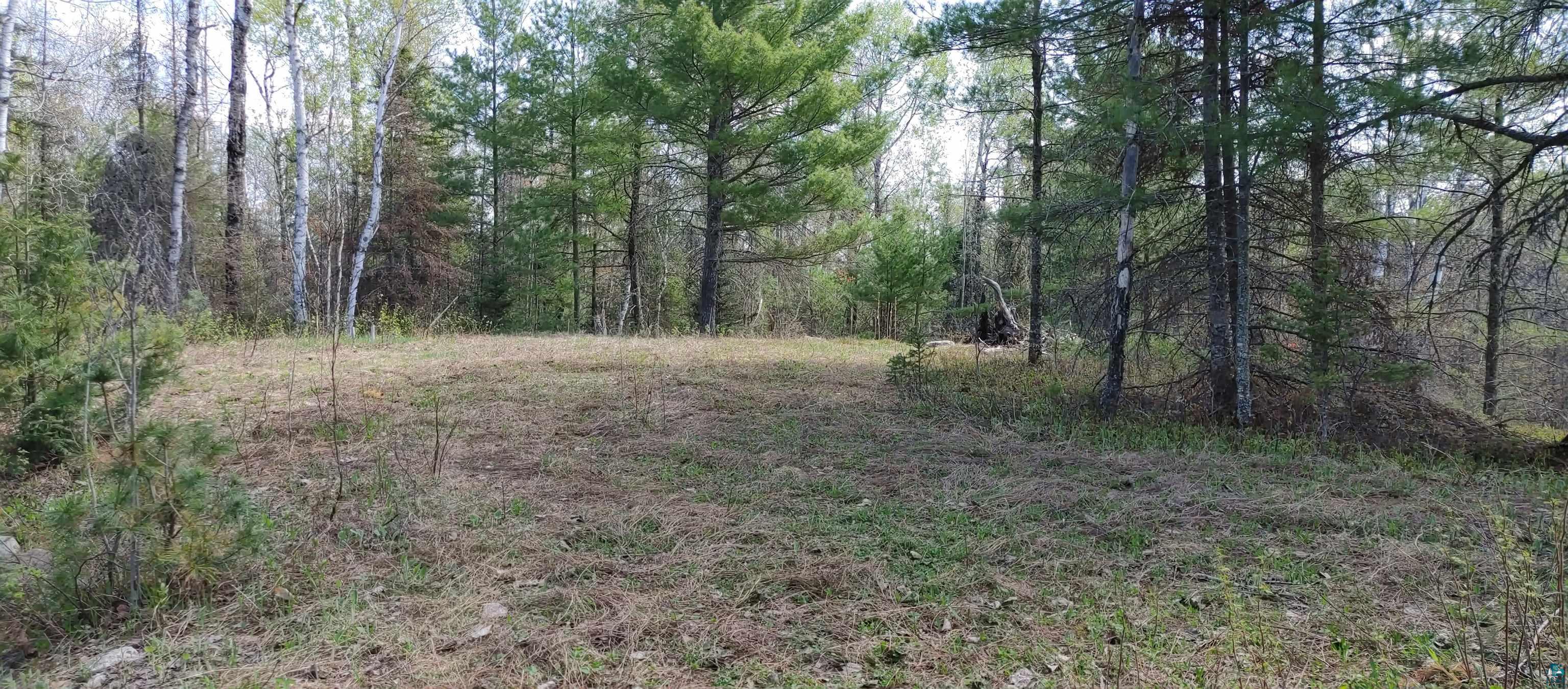 1687 Golden Ridge Tr, Ely, MN 55731 Listing Photo  13