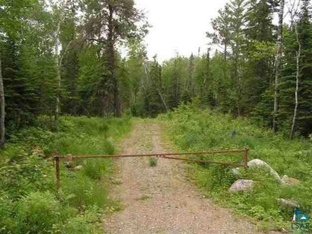 1687 Golden Ridge Tr, Ely, MN 55731 Listing Photo  3