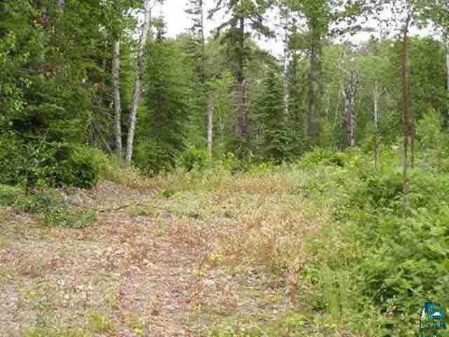 1687 Golden Ridge Tr, Ely, MN 55731 Listing Photo  5