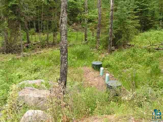 1687 Golden Ridge Tr, Ely, MN 55731 Listing Photo  8