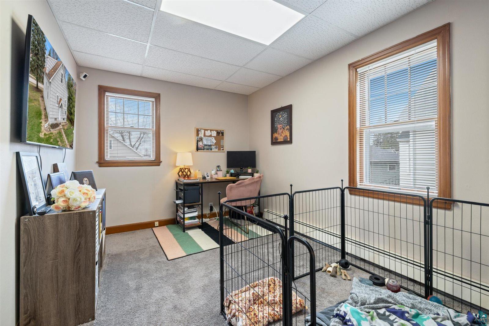 610 11th St S, Virginia, MN 55792 Listing Photo  30