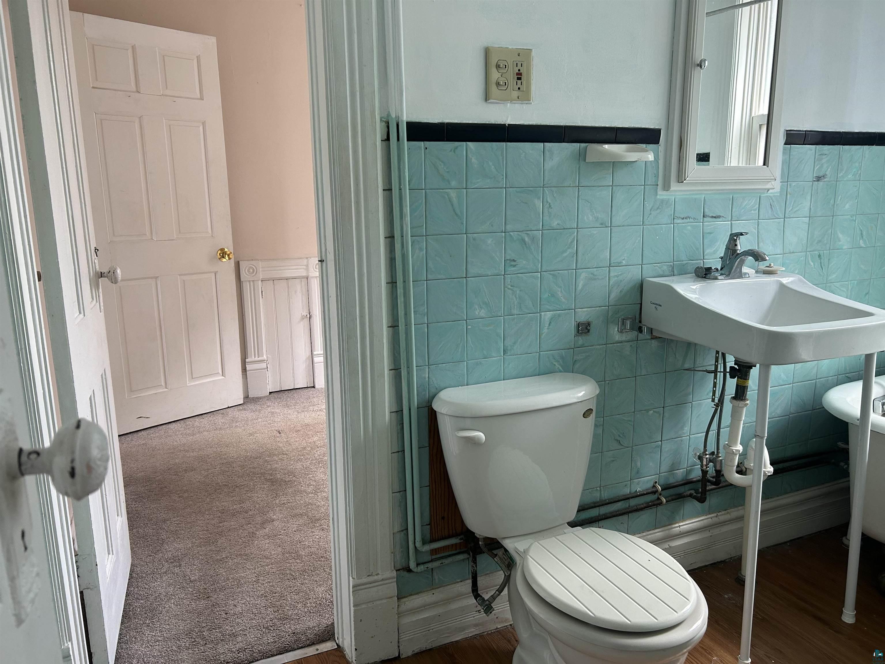 1302 W 1st St, Duluth, MN 55806 Listing Photo  20