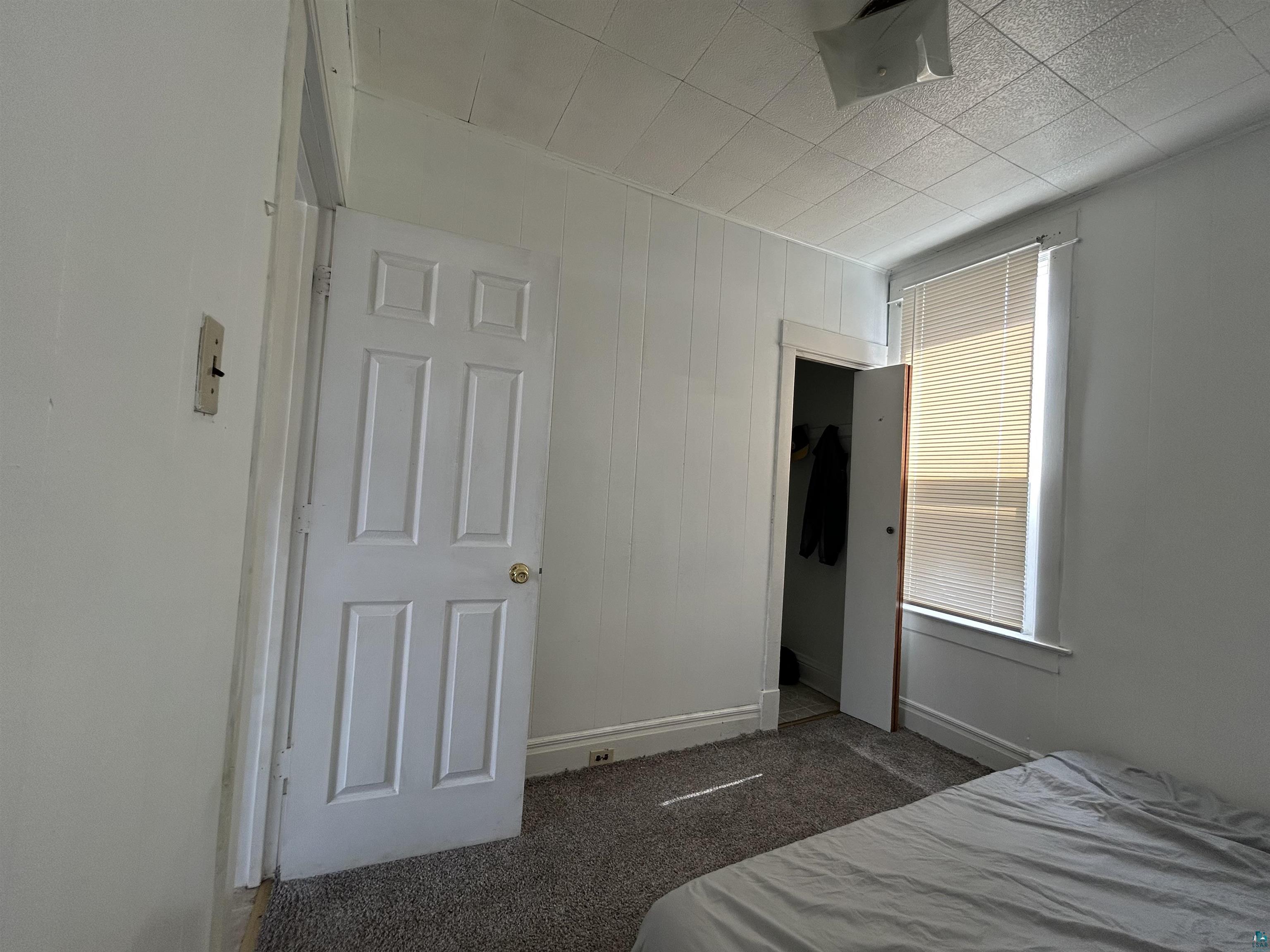 1302 W 1st St, Duluth, MN 55806 Listing Photo  28