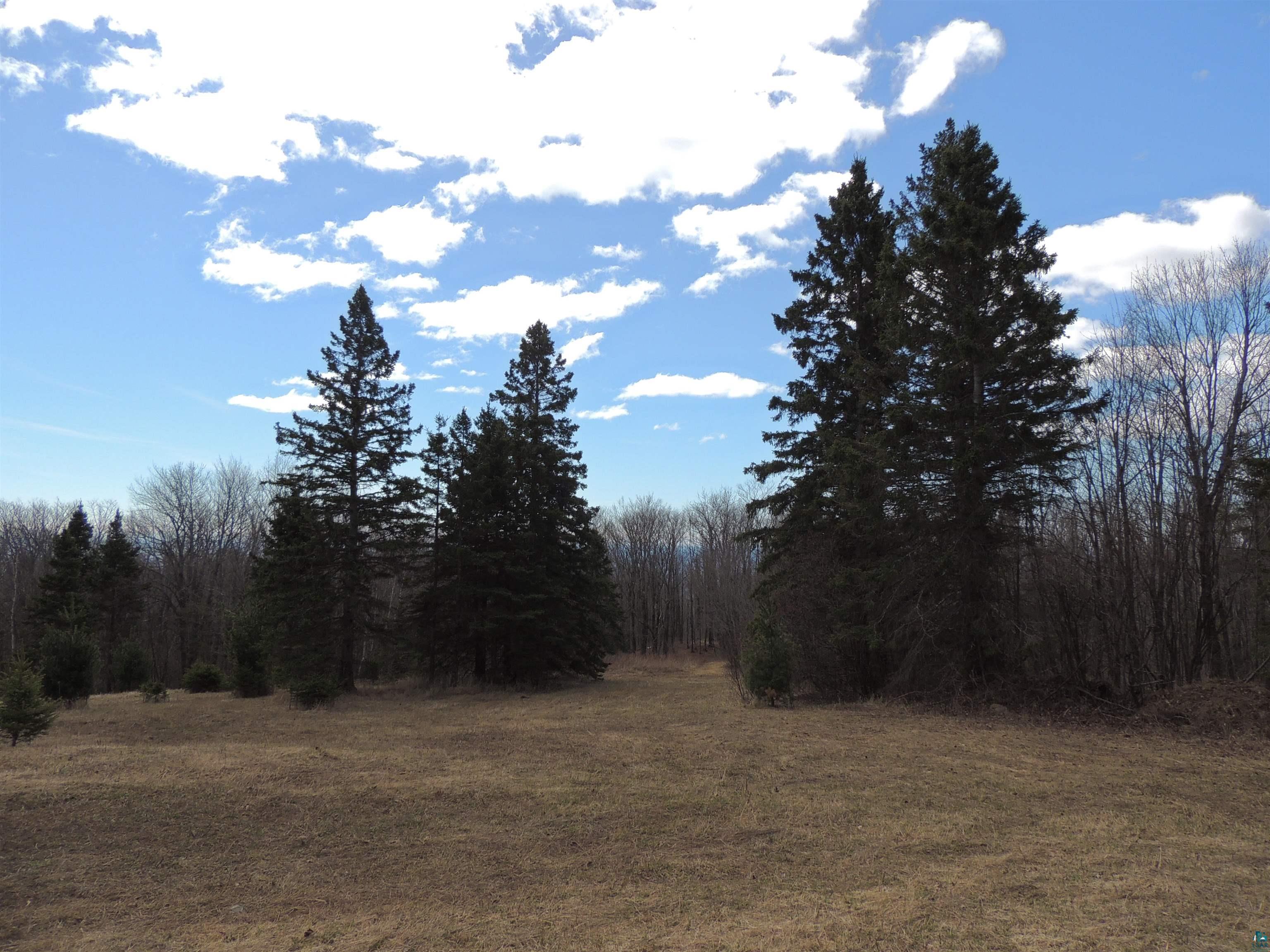 XXX Springdale Rd, Tofte, MN 55615 Listing Photo  1