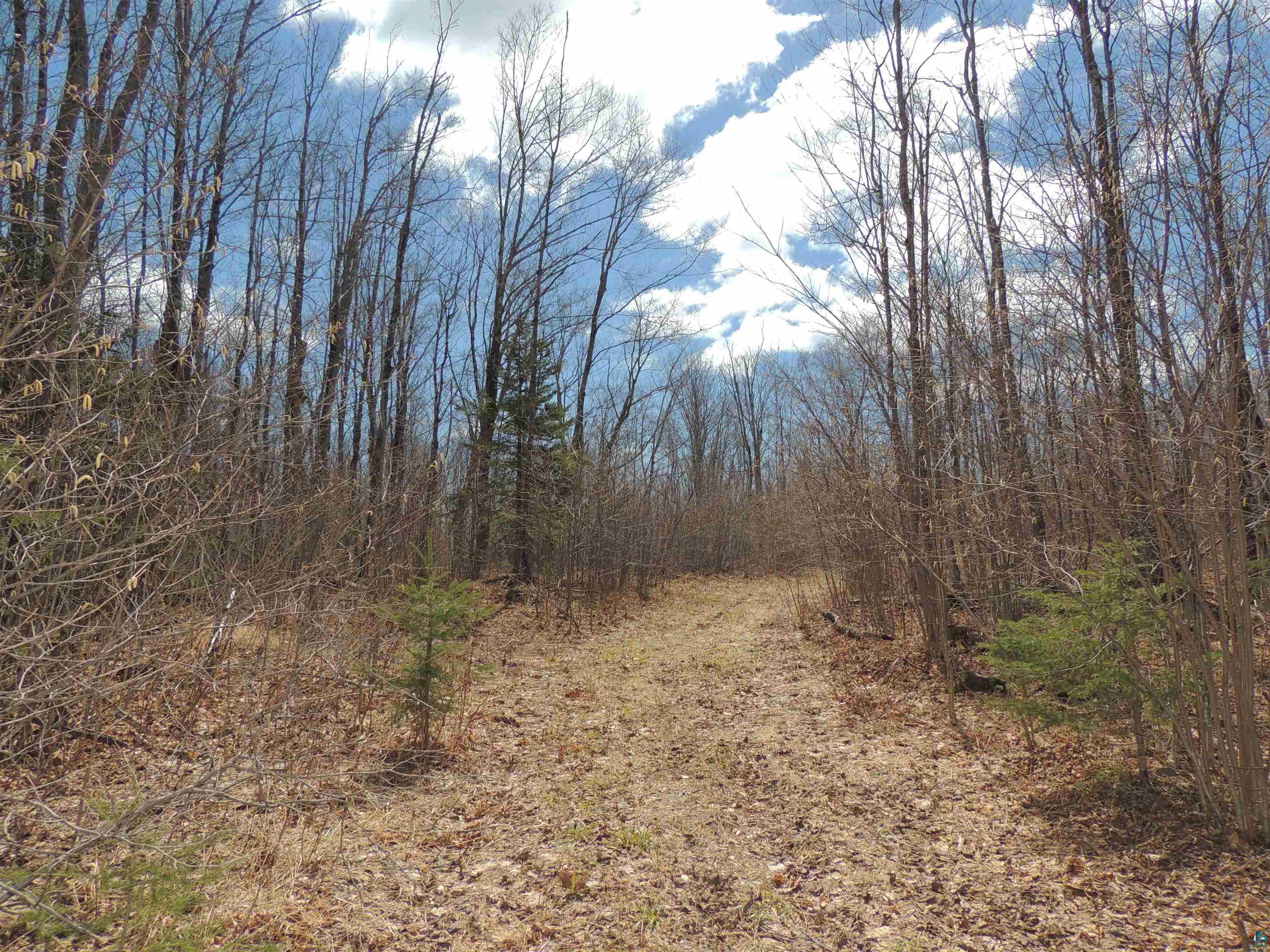 XXX Springdale Rd, Tofte, MN 55615 Listing Photo  23