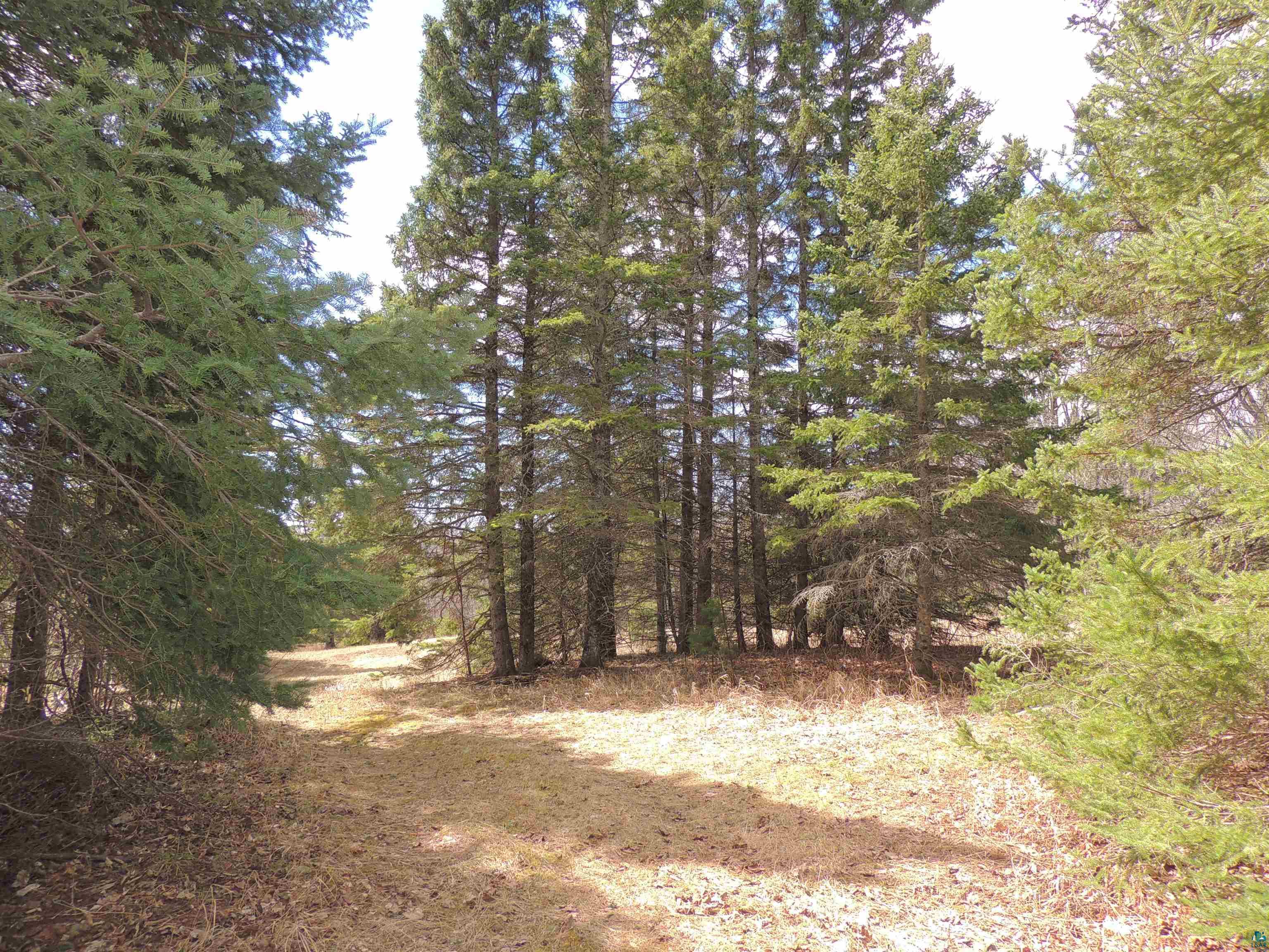 XXX Springdale Rd, Tofte, MN 55615 Listing Photo  27