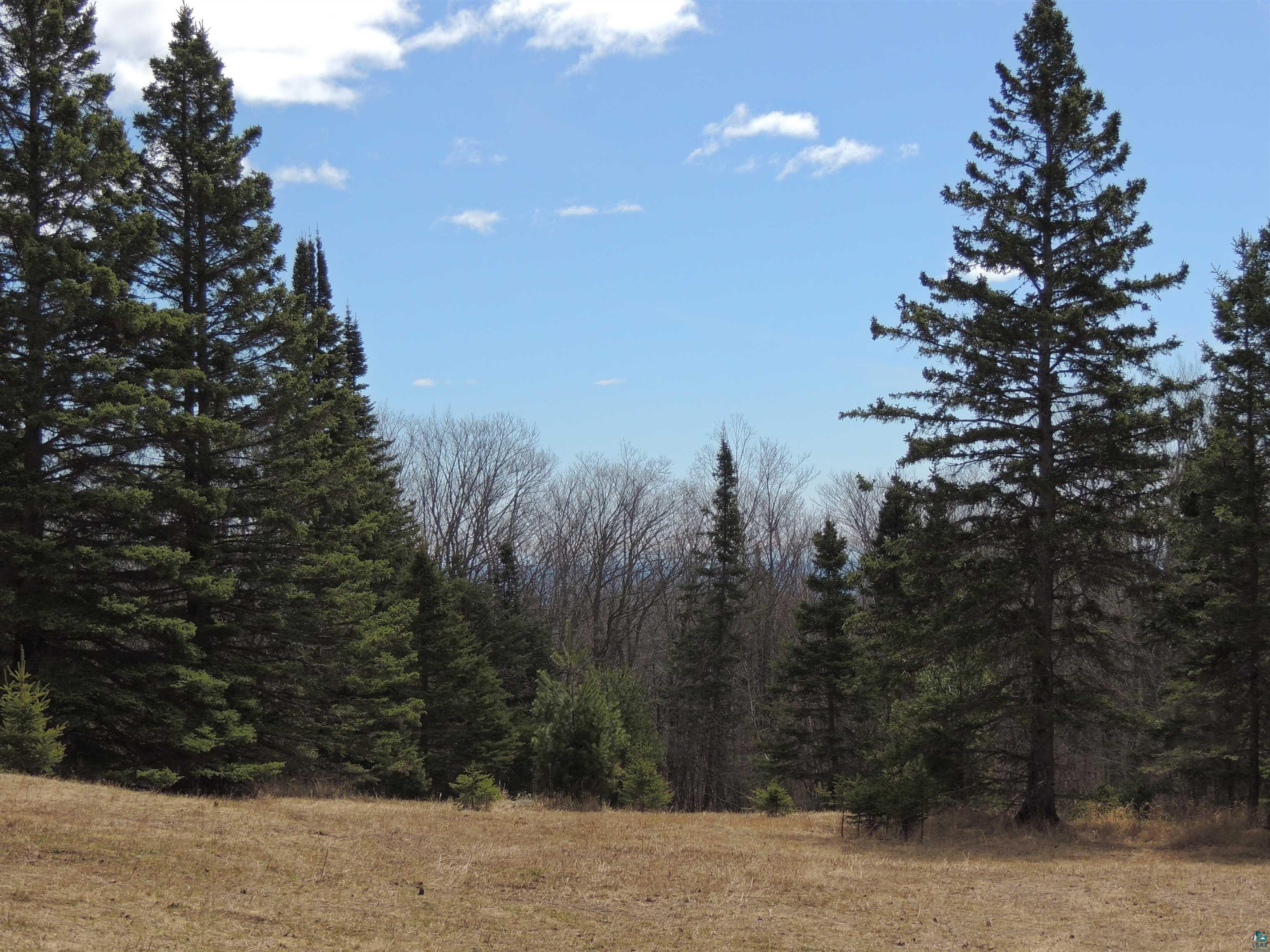 XXX Springdale Rd, Tofte, MN 55615 Listing Photo  31