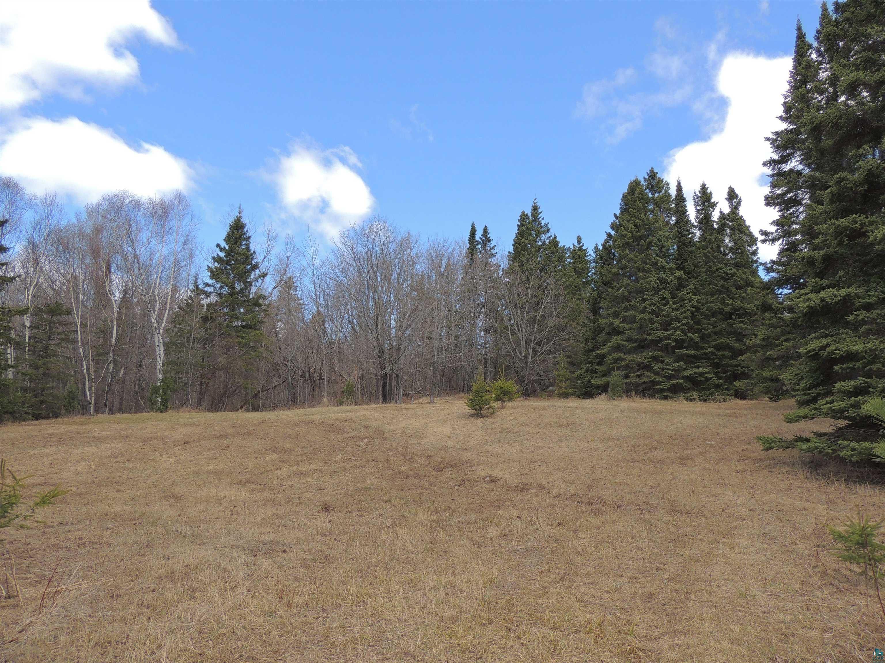 XXX Springdale Rd, Tofte, MN 55615 Listing Photo  9