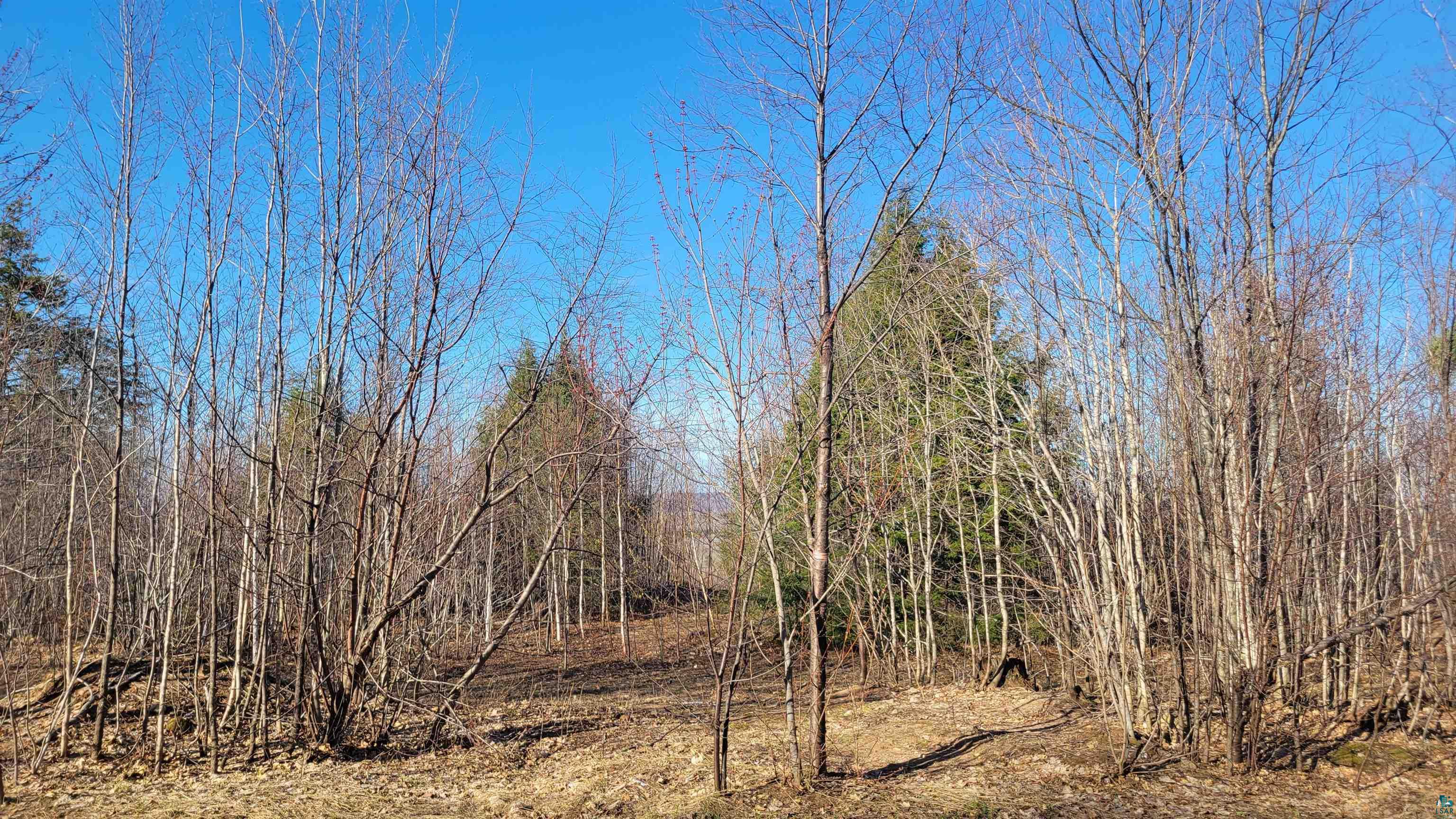 lot 2 Mariner Mile, Bayfield, WI 54814 Listing Photo  11