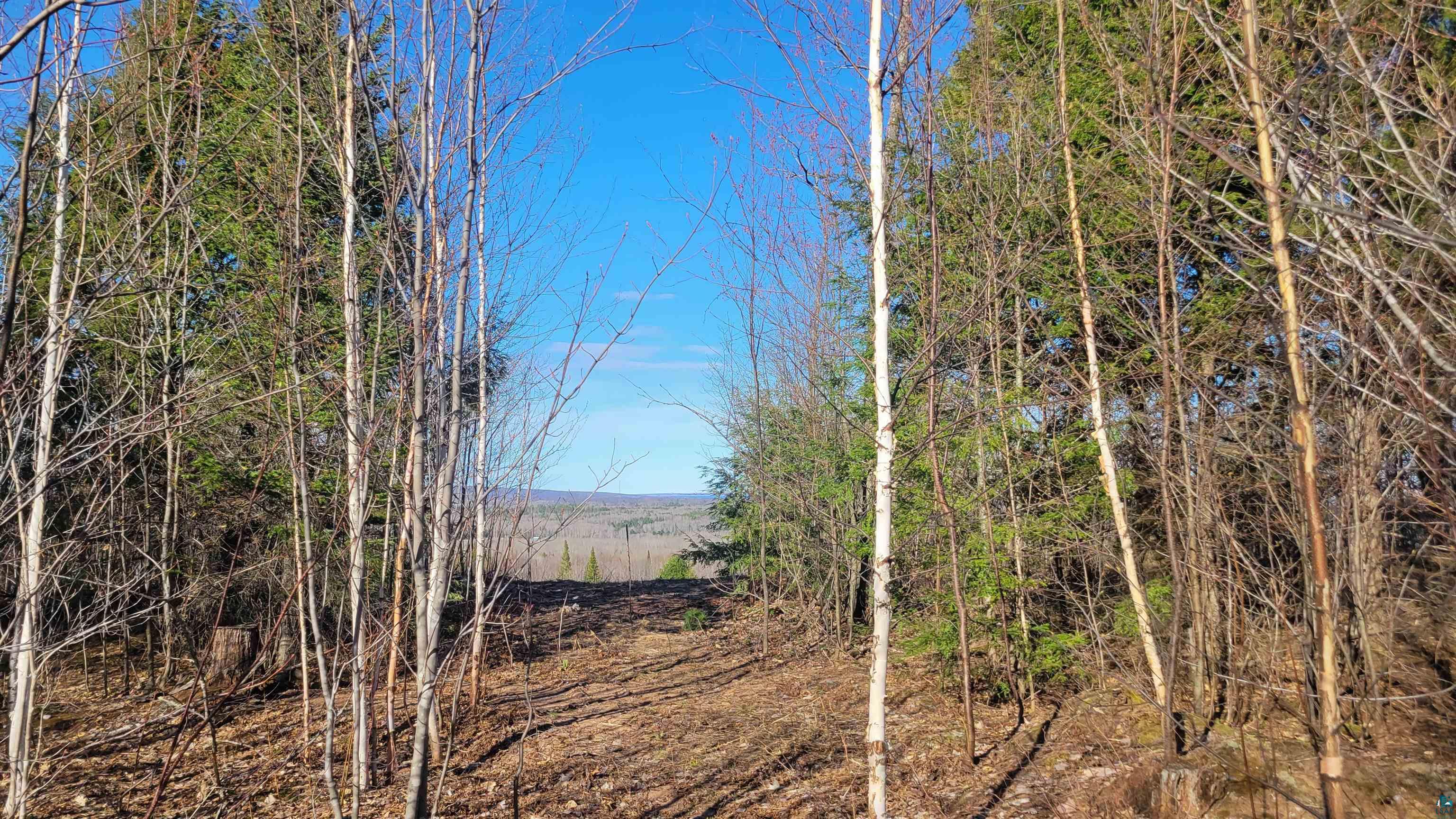 lot 2 Mariner Mile, Bayfield, WI 54814 Listing Photo  10