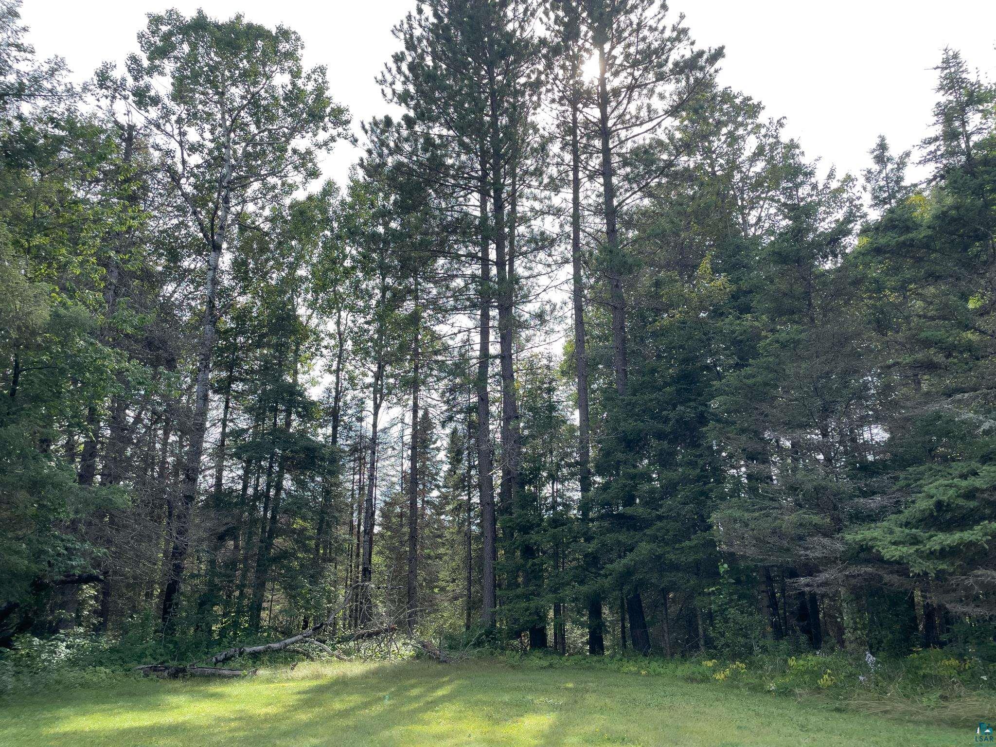 7143 HWY 1, Finland, MN 55603 Listing Photo  40