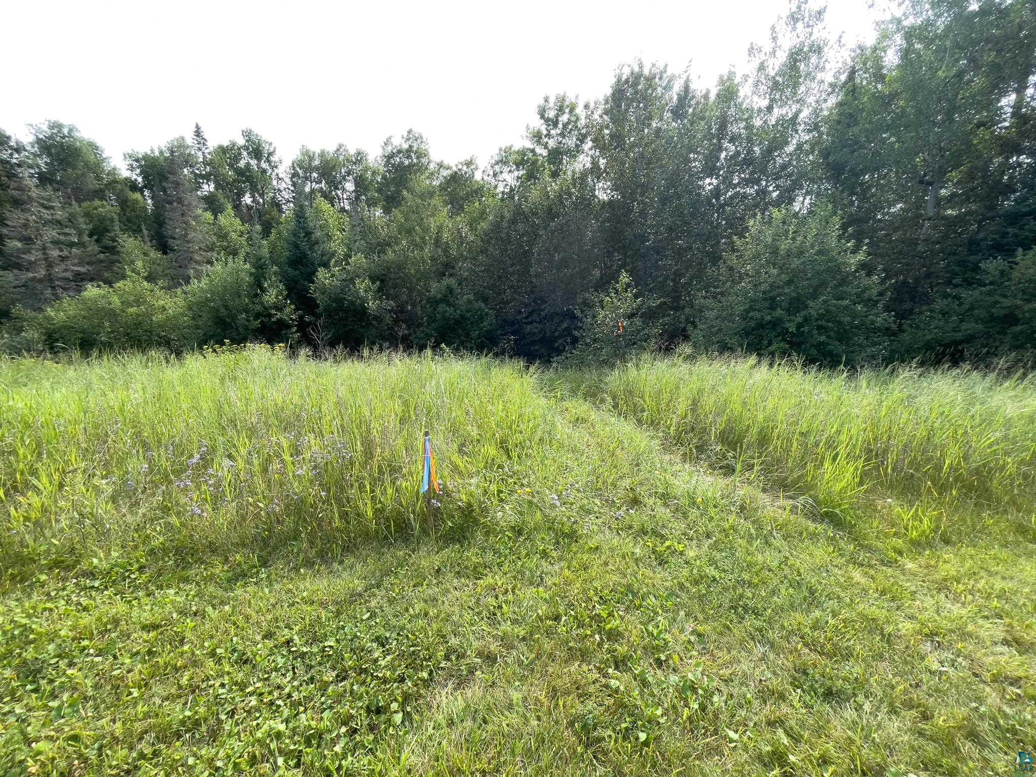 7143 HWY 1, Finland, MN 55603 Listing Photo  45