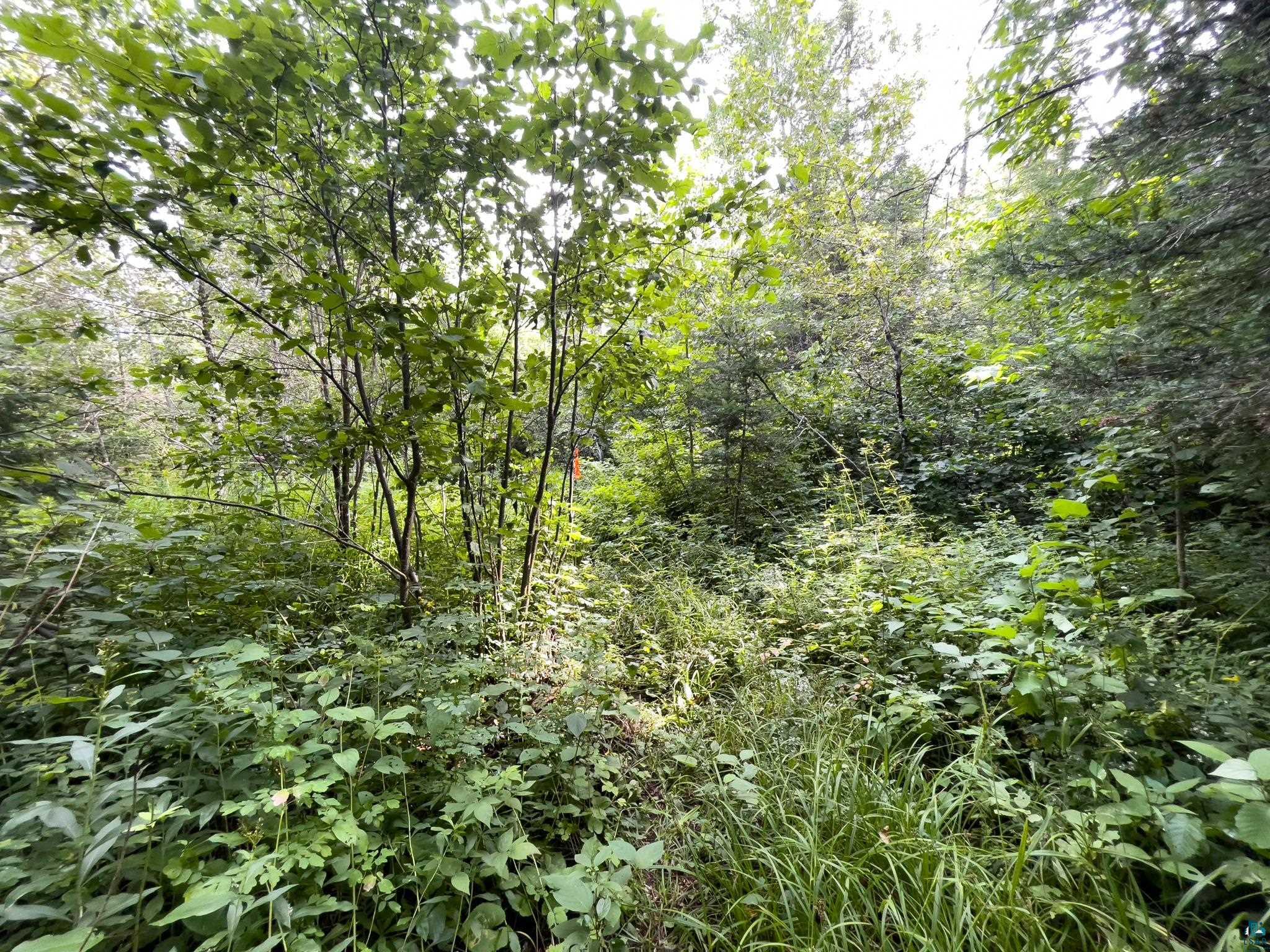 7143 HWY 1, Finland, MN 55603 Listing Photo  46