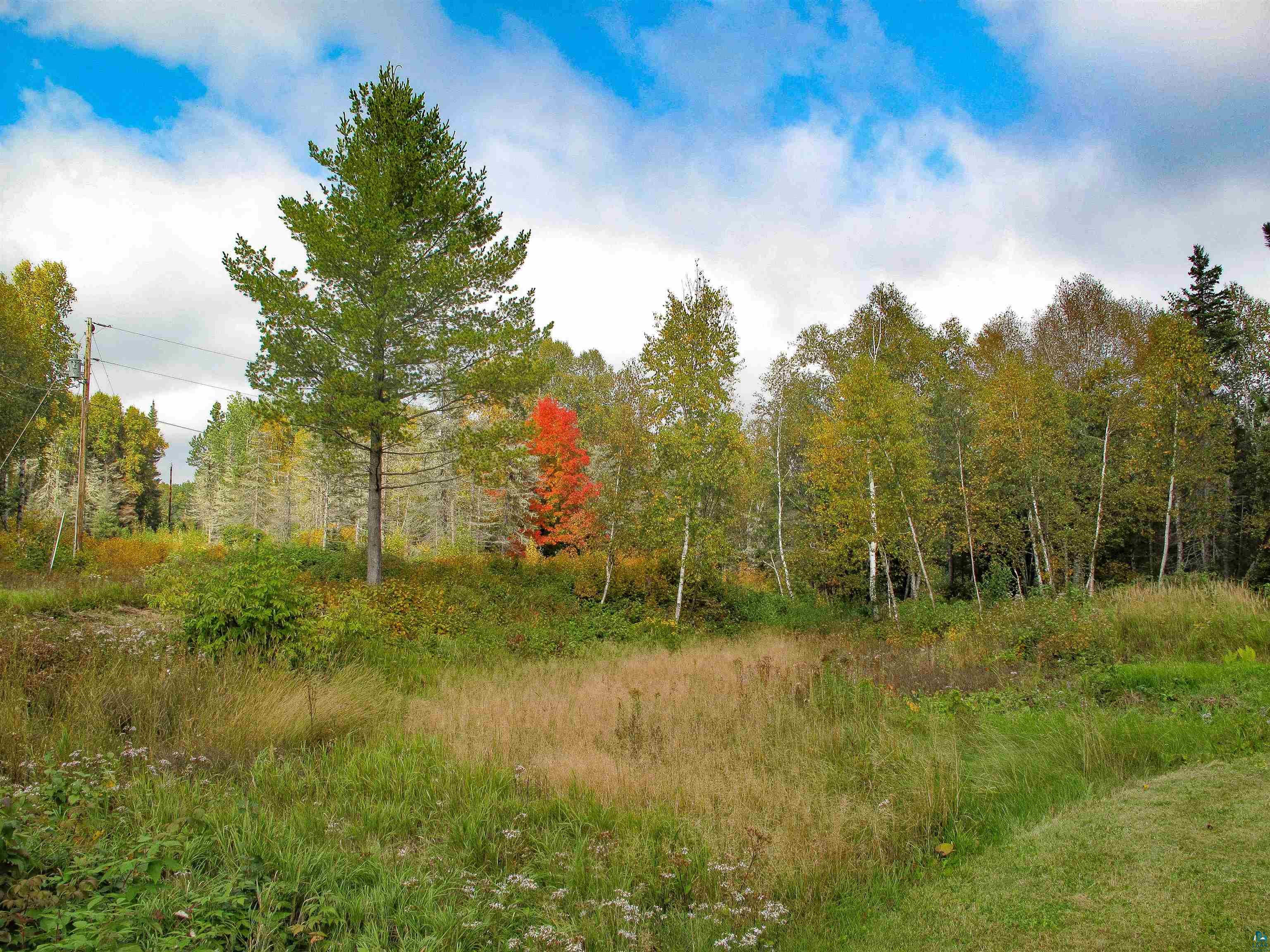 7185 HWY 1, Finland, MN 55603 Listing Photo  66