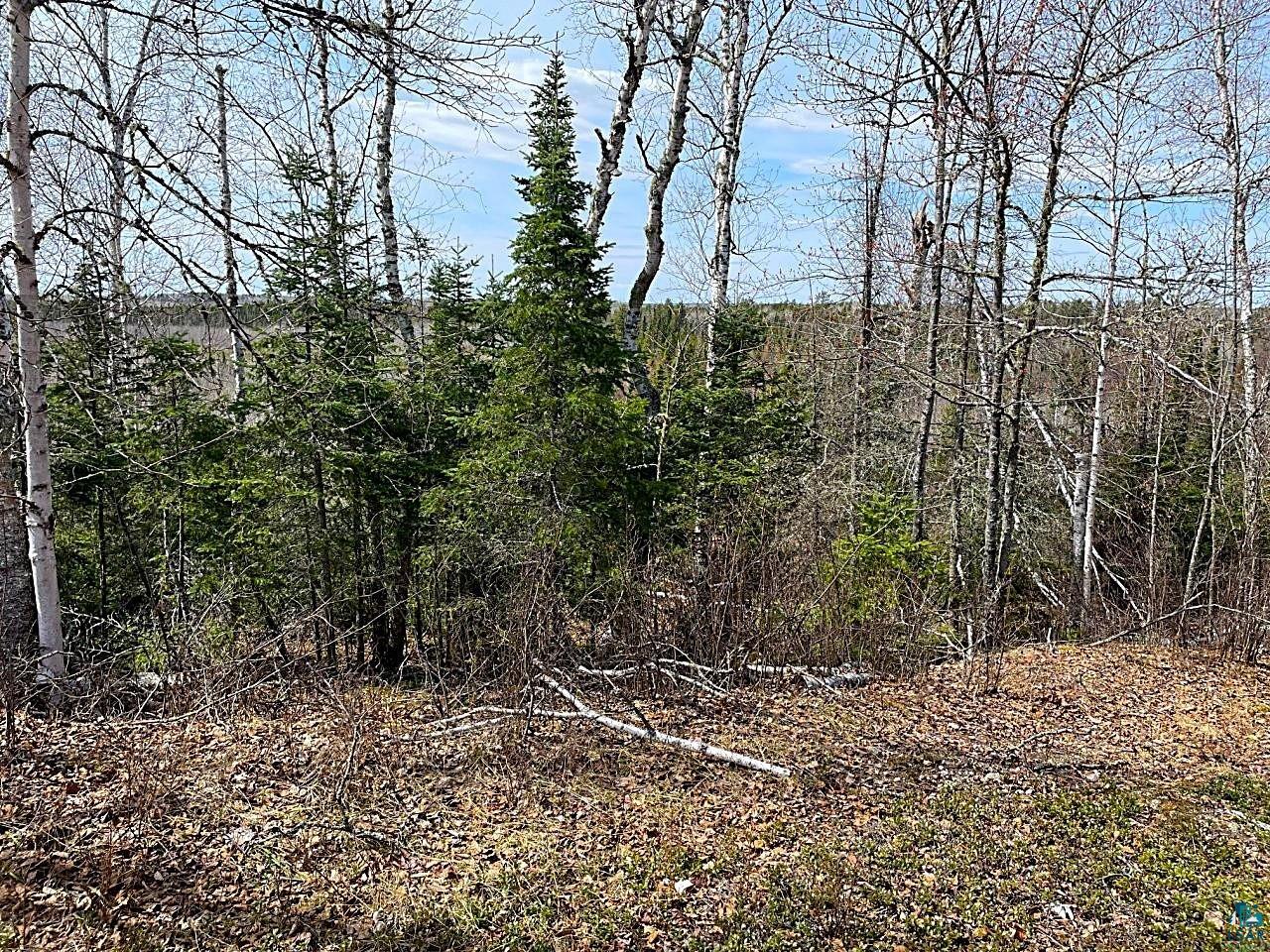 1480 Maijala Rd, Ely, MN 55731 Listing Photo  47