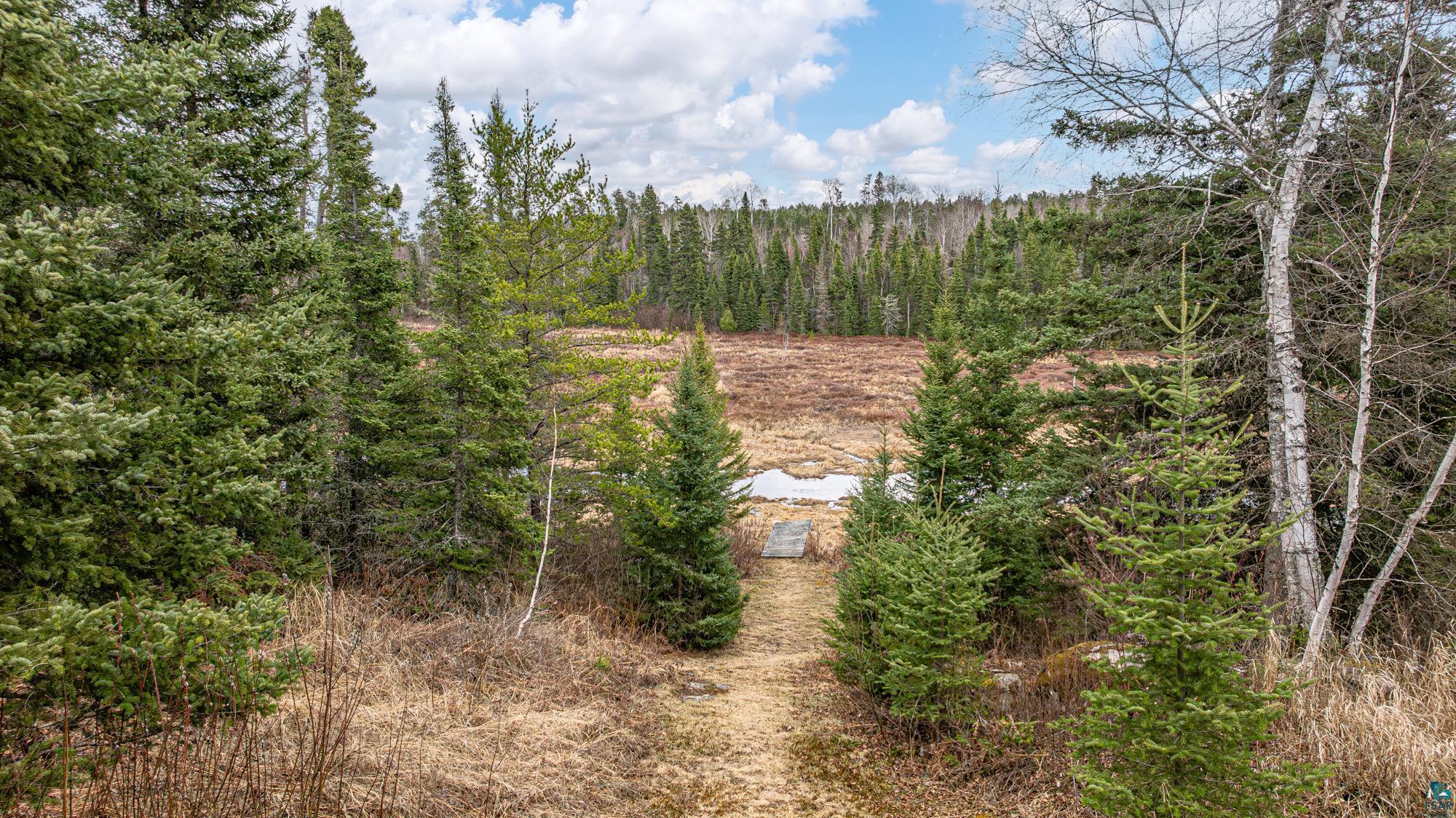 1736 N Grassy Rd, Ely, MN 55731 Listing Photo  67