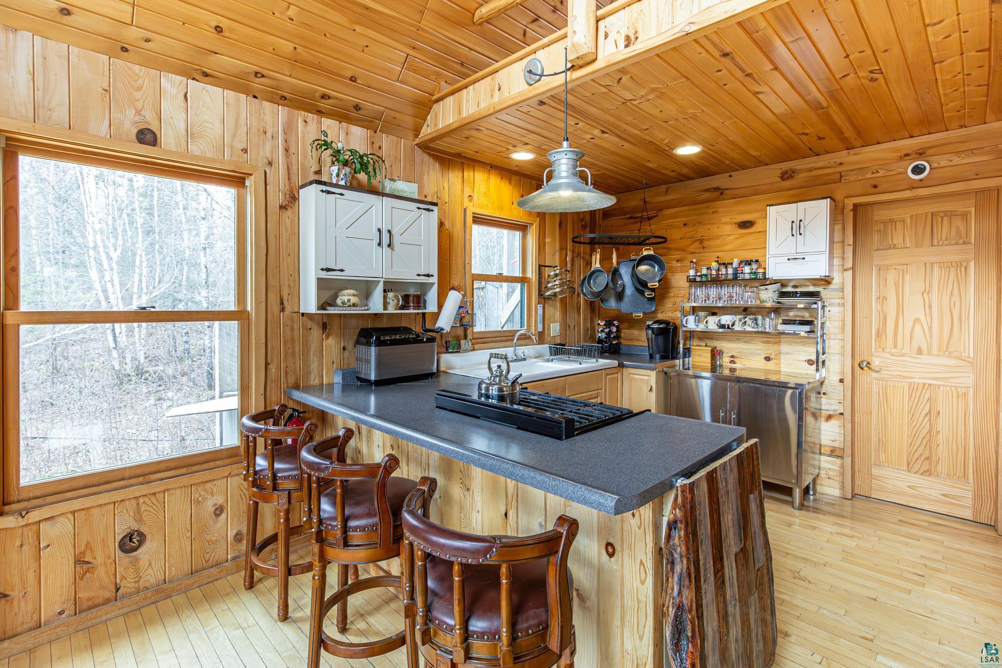 1736 N Grassy Rd, Ely, MN 55731 Listing Photo  9
