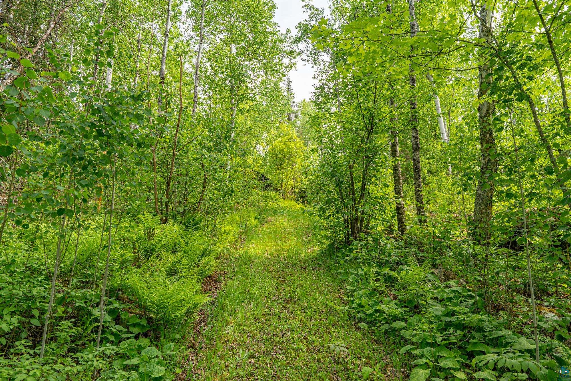 2445 Reed Rd, Ely, MN 55731 Listing Photo  56