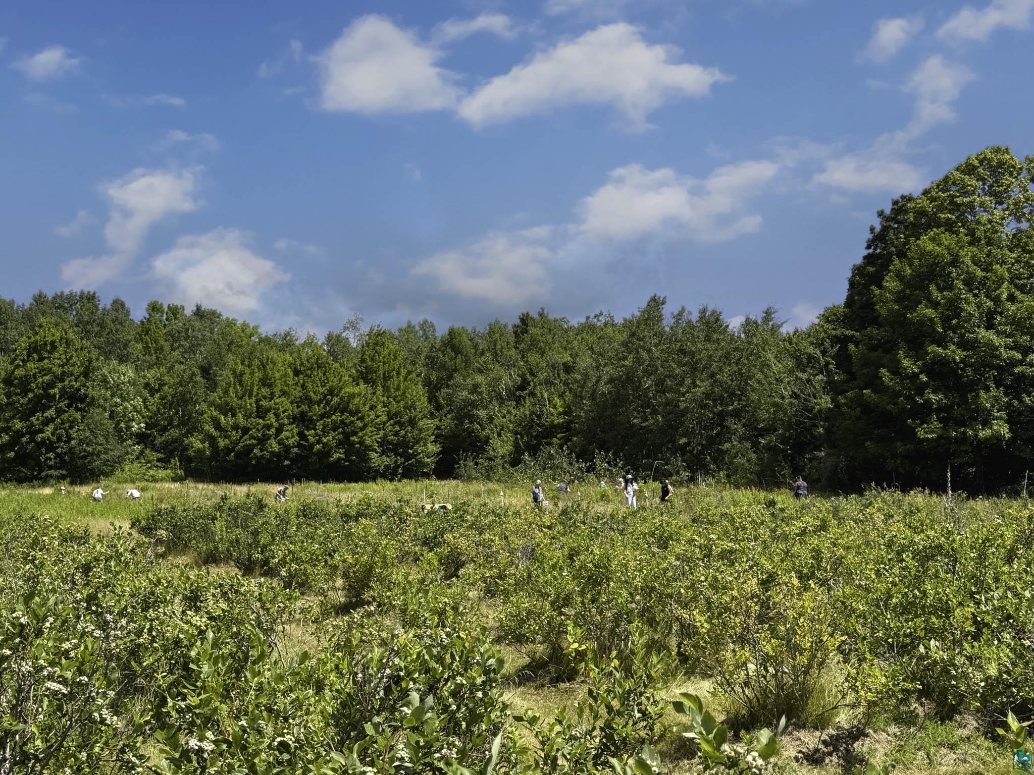 34045 S County Hwy J, Bayfield, WI 54814 Listing Photo  45