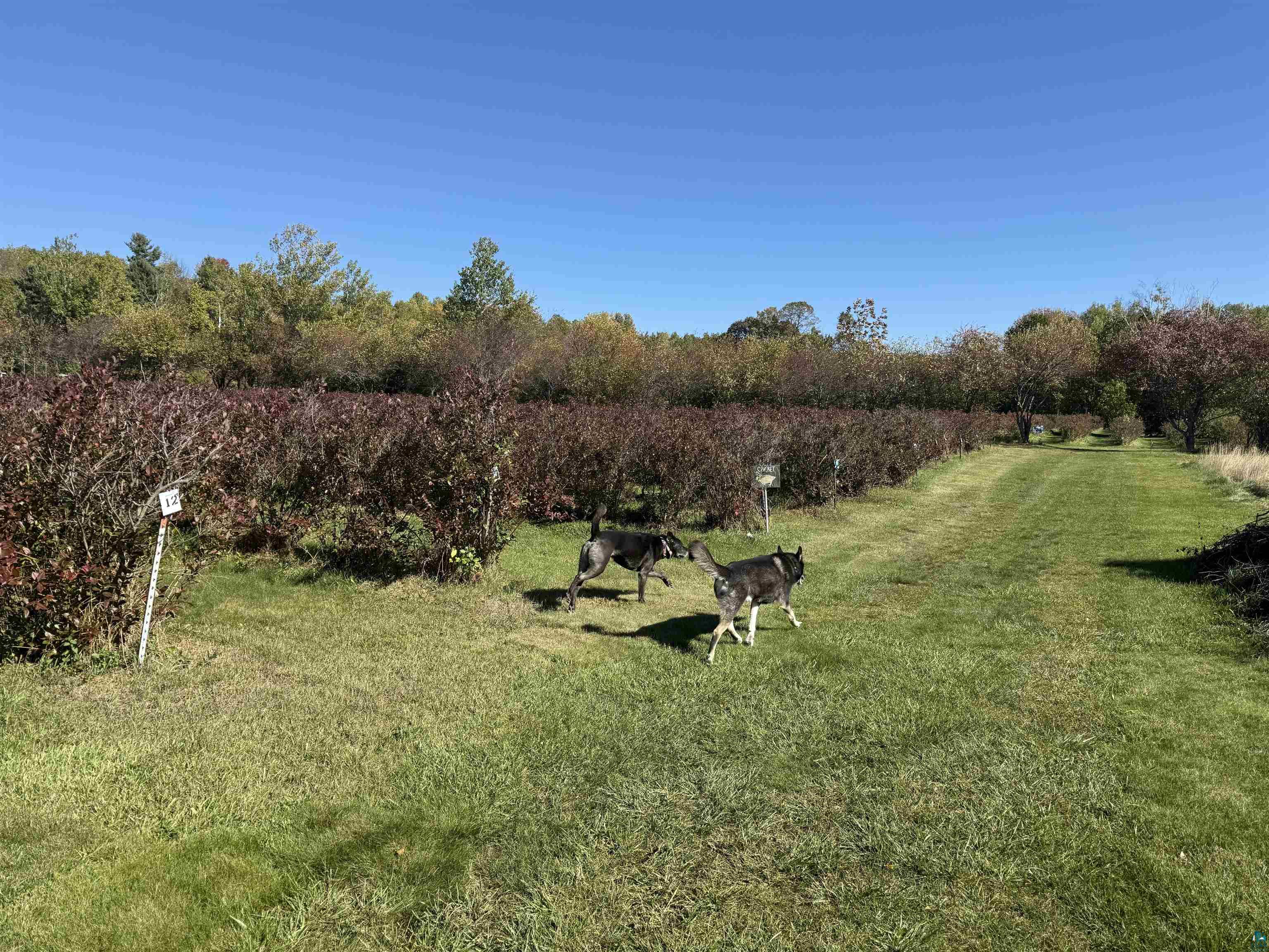 34045 S County Hwy J, Bayfield, WI 54814 Listing Photo  46