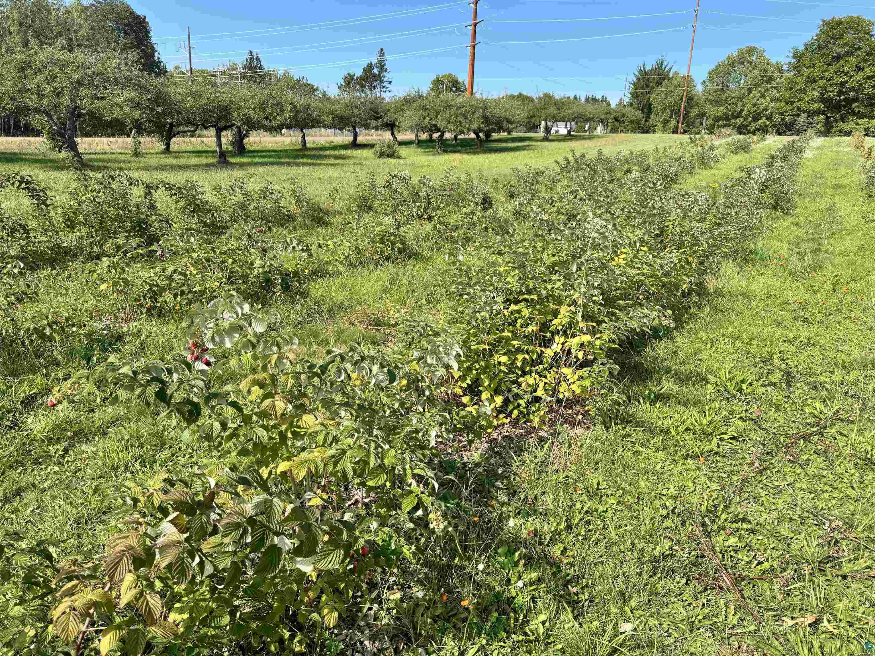34045 S County Hwy J, Bayfield, WI 54814 Listing Photo  8