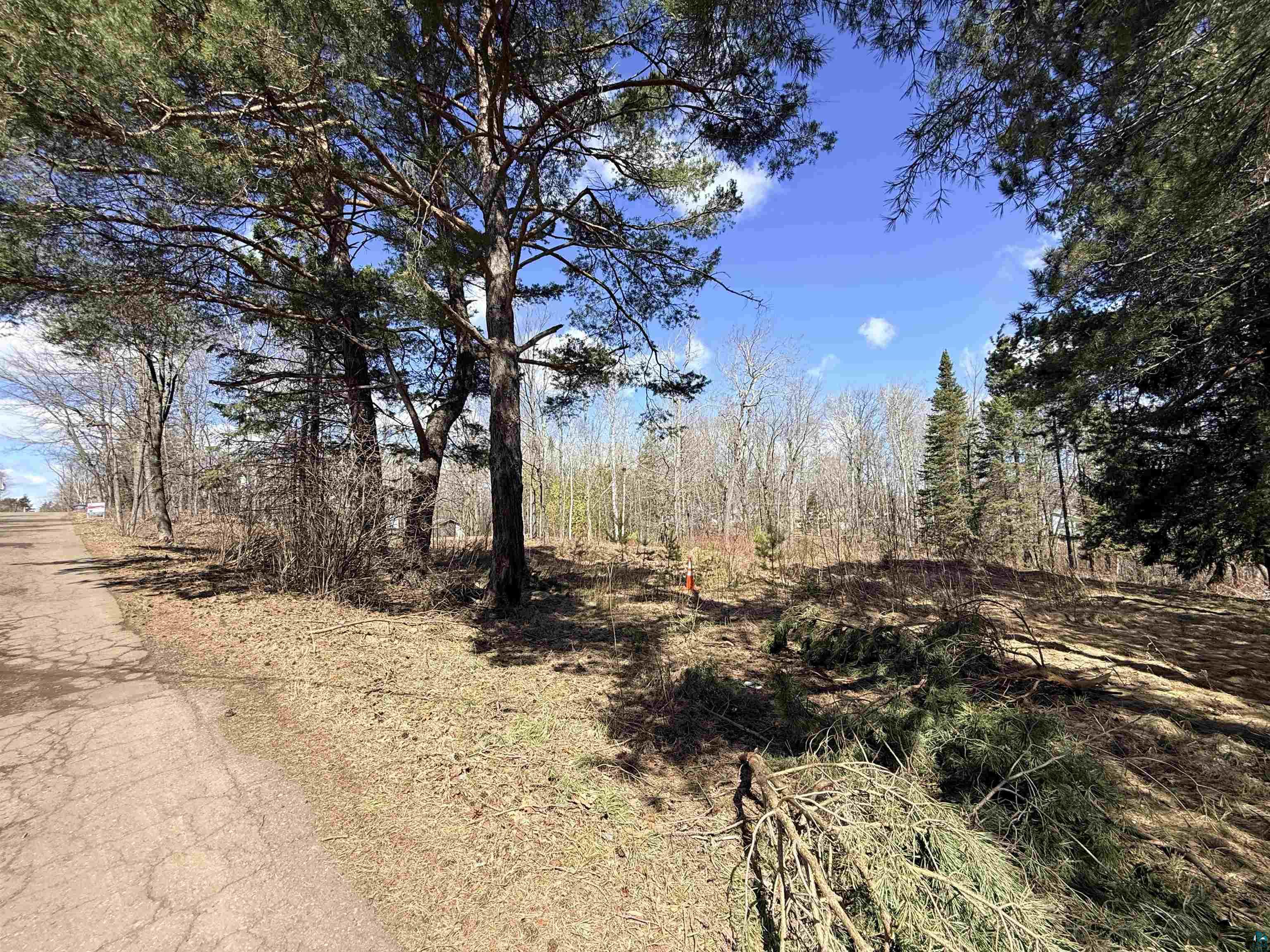 419 W Quince St, Duluth, MN 55811-000 Listing Photo  3