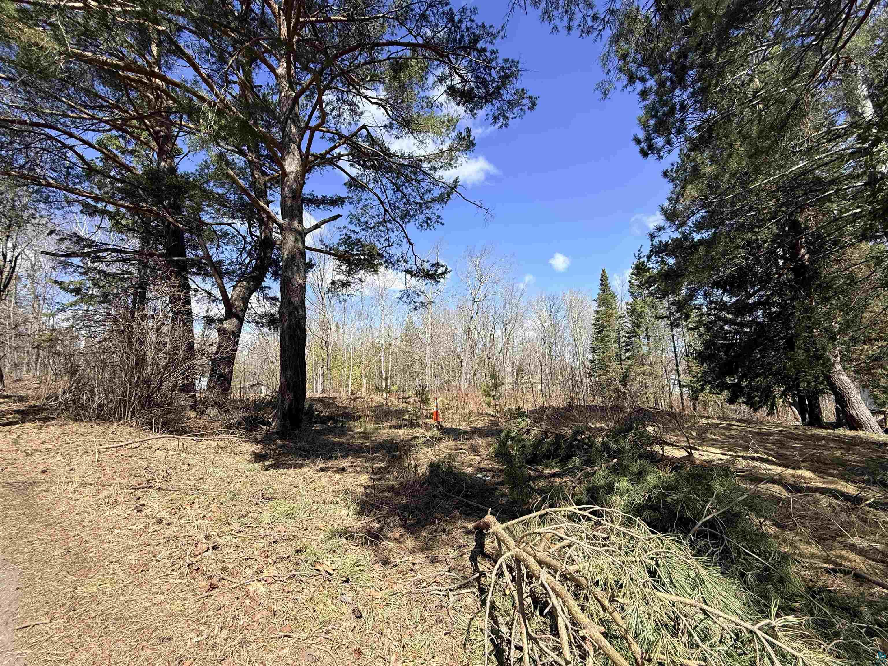 419 W Quince St, Duluth, MN 55811-000 Listing Photo  4
