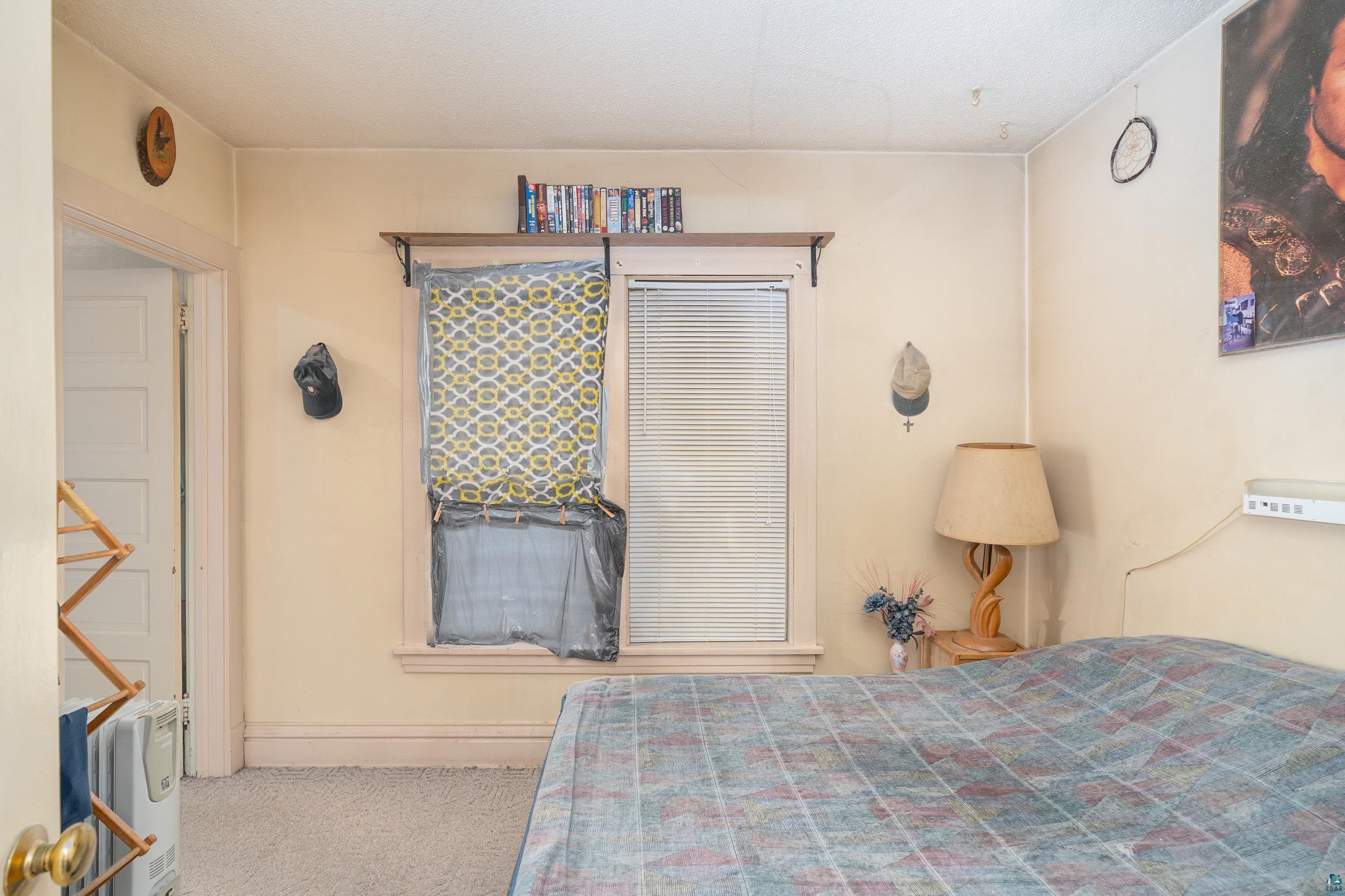 3019 Restormel St, Duluth, MN 55806 Listing Photo  26