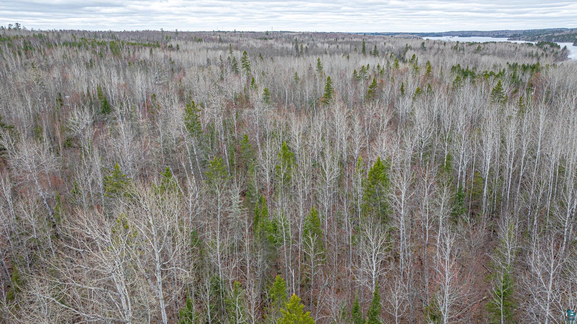 TBD Circle Dr, Ely, MN 55731 Listing Photo  19