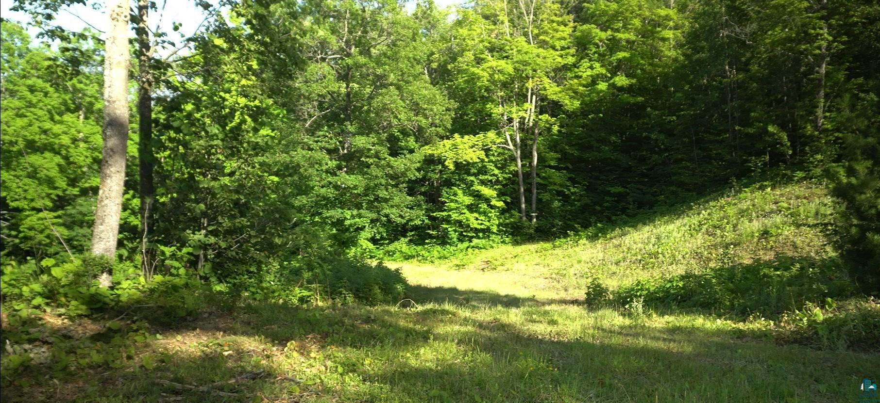 83xxx Ashwabay Heights Rd, Bayfield, WI 54814 Listing Photo  2